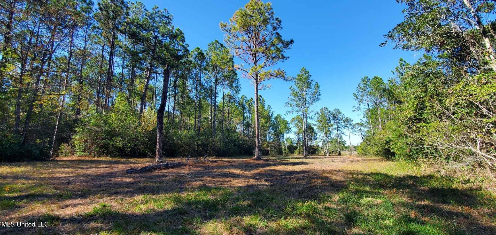 Saucier, MS 39574,0 Tim Bradley Road