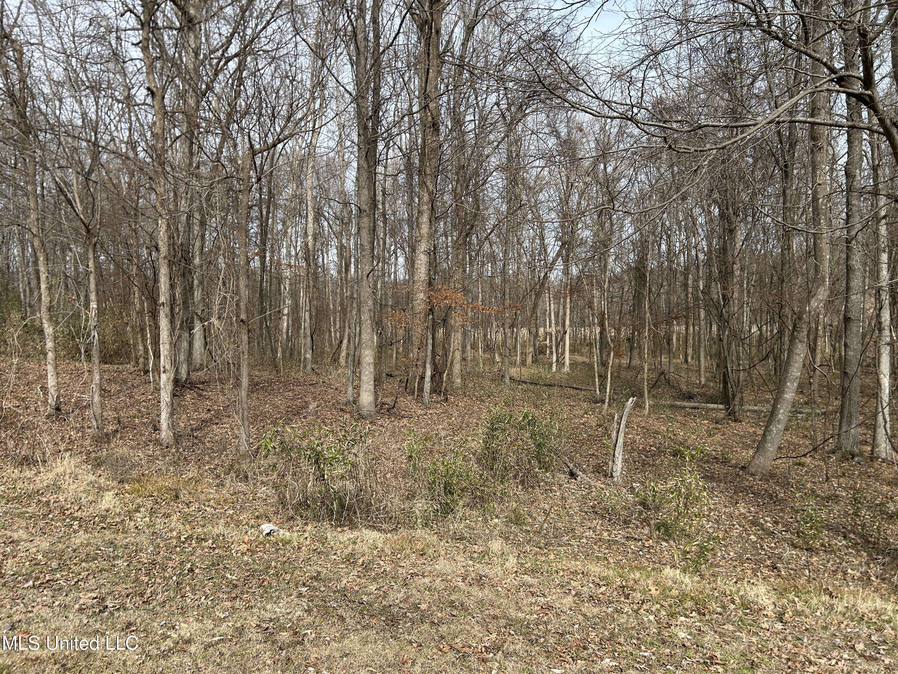 Hernando, MS 38632,87 Crockett Cove
