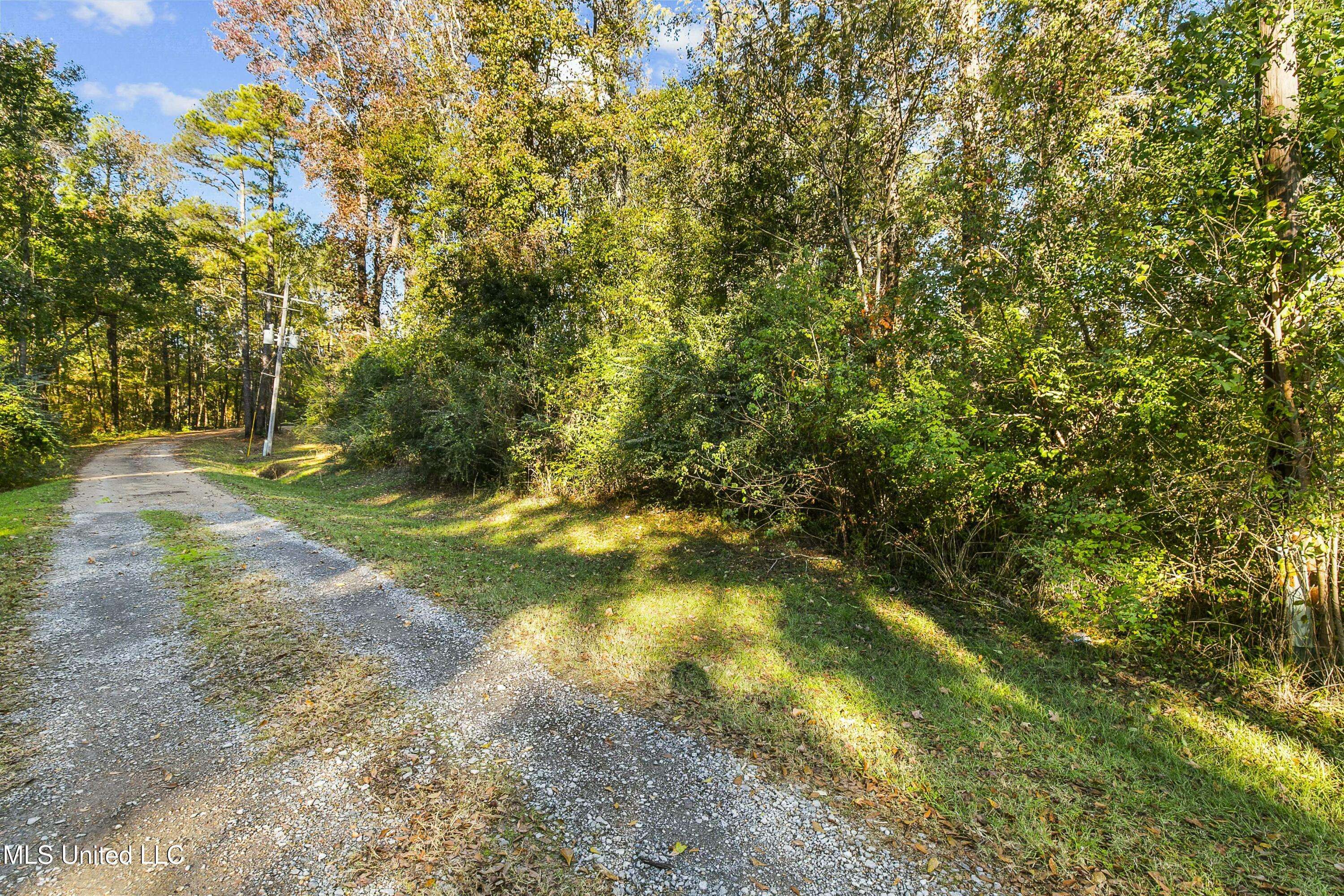 Brandon, MS 39042,Overby St Street