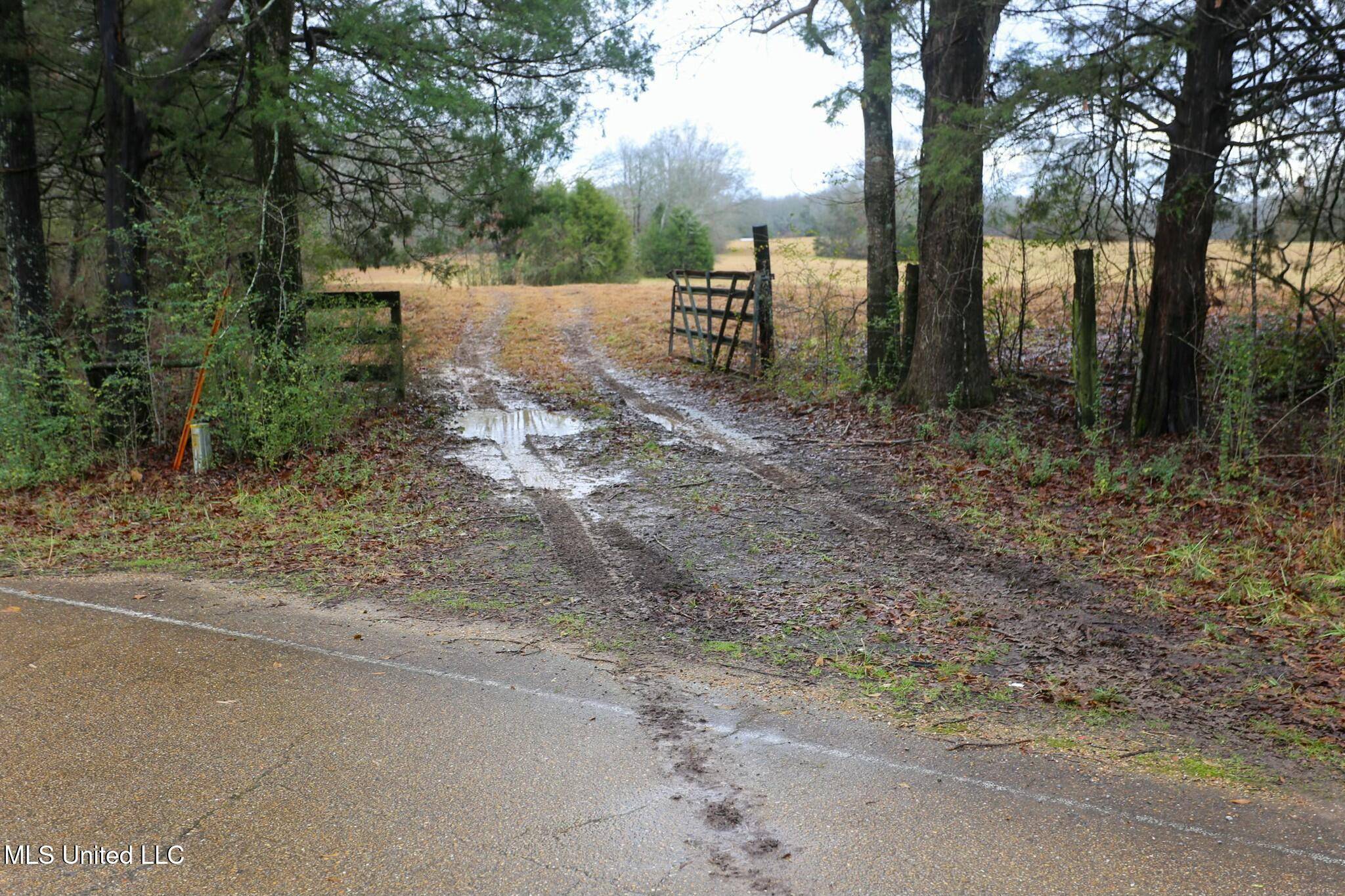 Raymond, MS 39154,Pardue Road