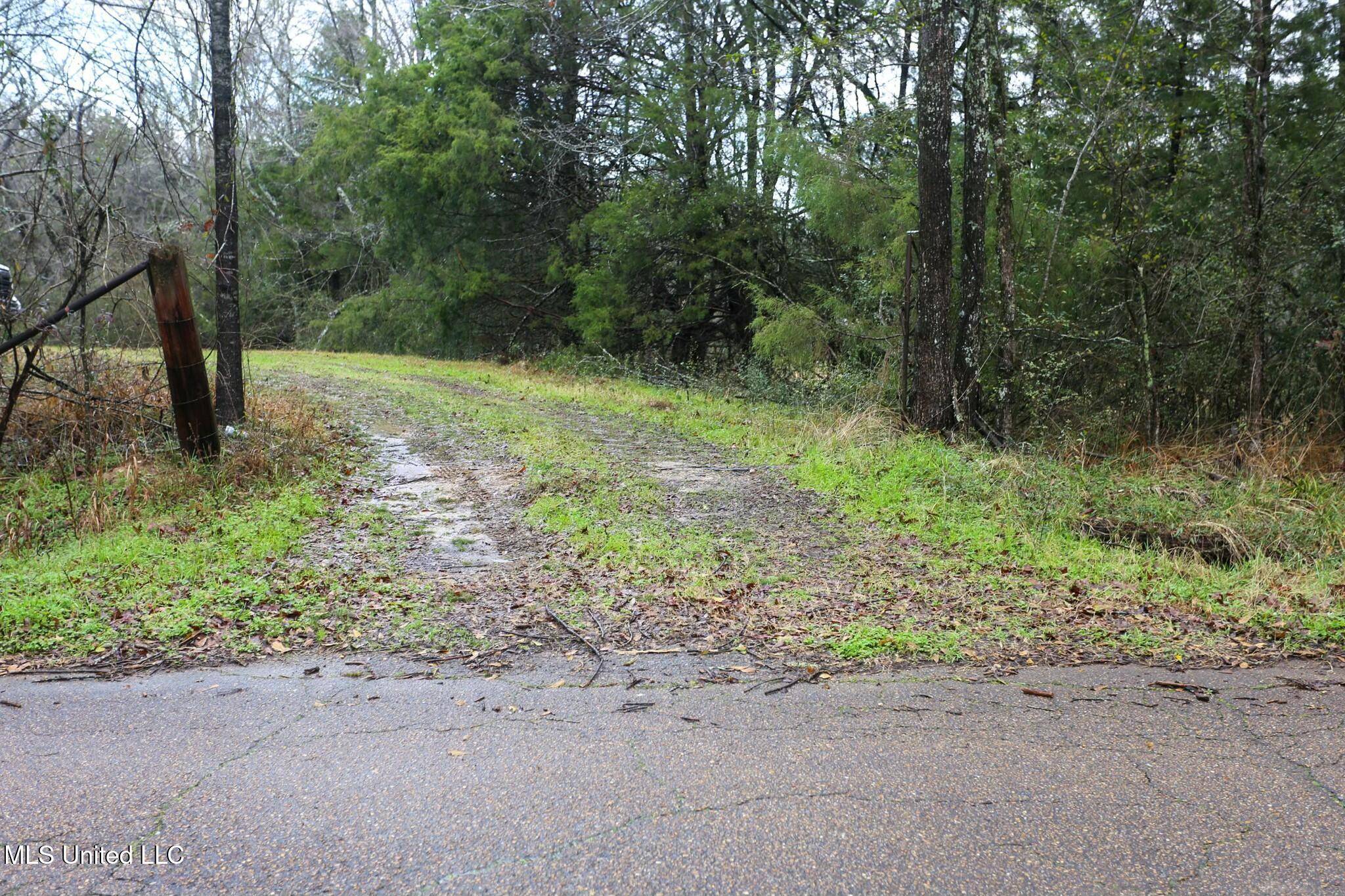 Raymond, MS 39154,Learned Rd