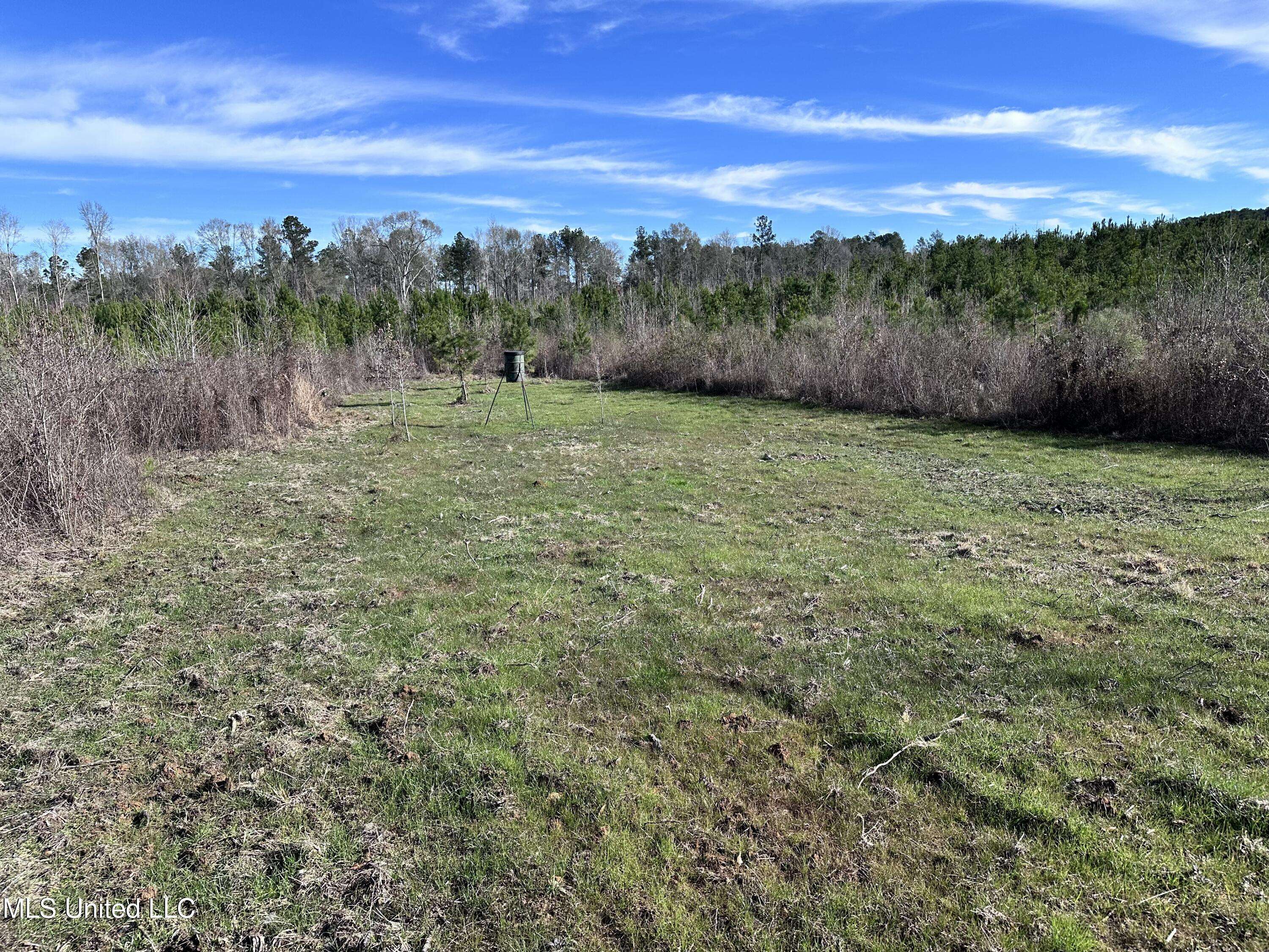 Gloster, MS 39638,0 Bluff Springs Road
