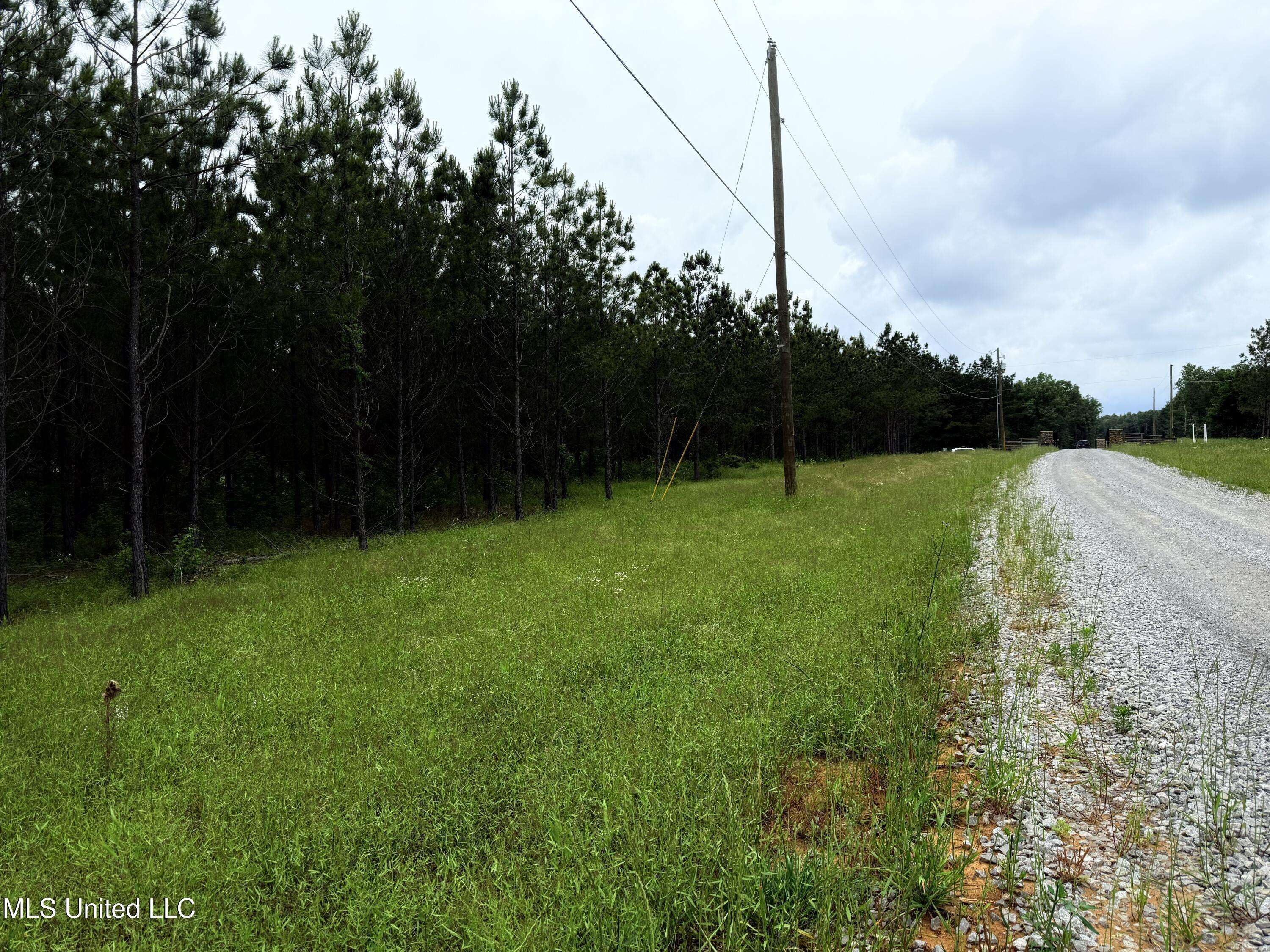 Madison, MS 39110,Windfall Trail