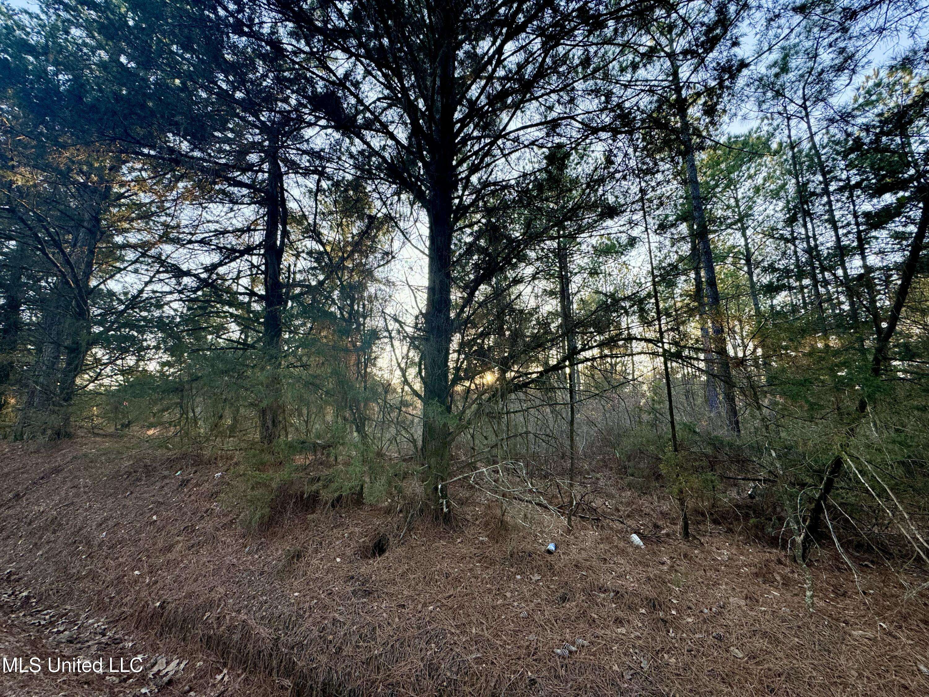Kosciusko, MS 39090,County Road 1113