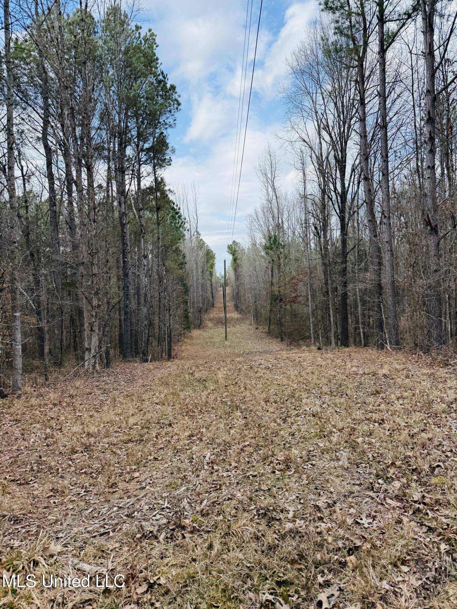 West, MS 39192,Race Track Road