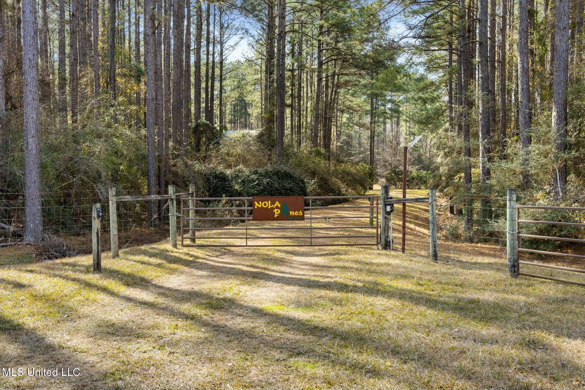 Magnolia, MS 39652,3181 Centerville Road