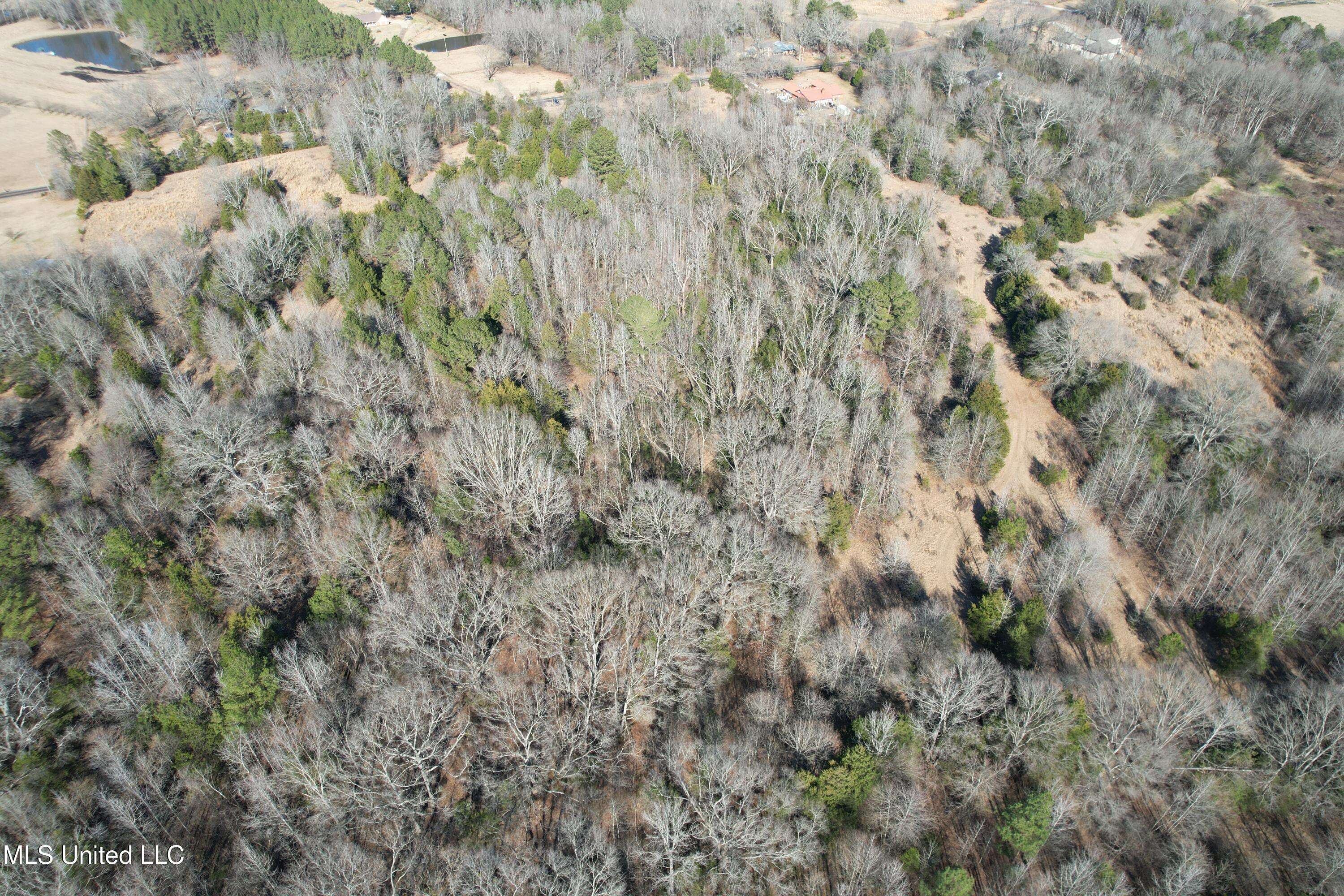 Flora, MS 39071,Off Robinson Springs Road