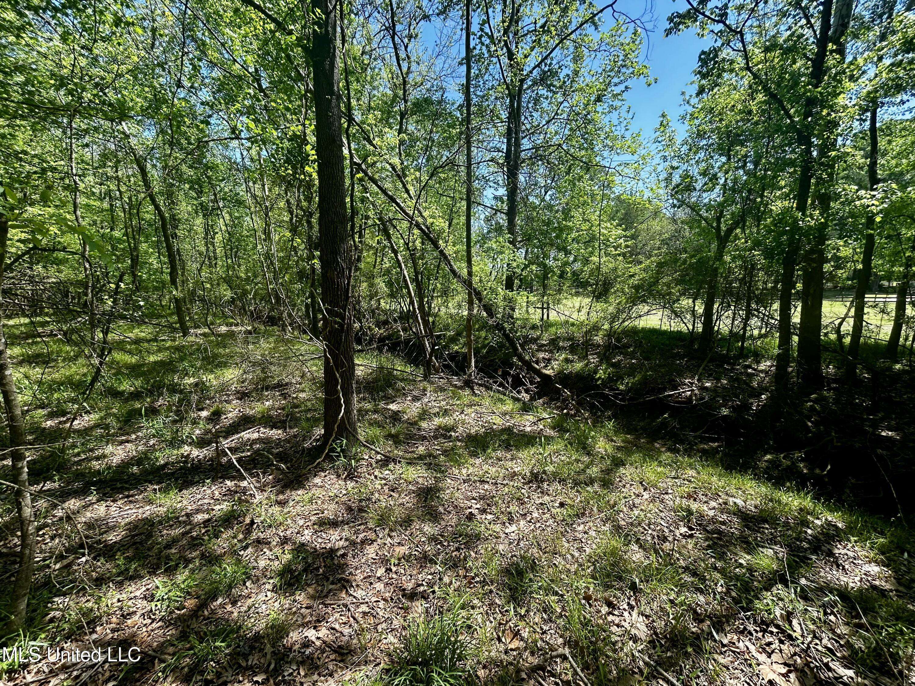 Madison, MS 39110,Sundial Road