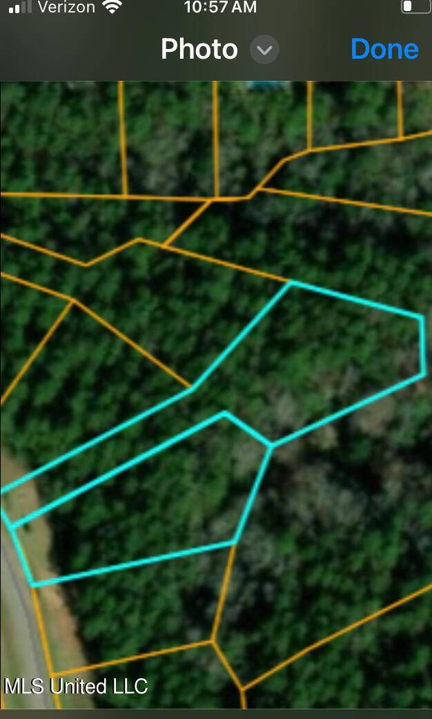 Carriere, MS 39426,0 Sweet Birch Drive