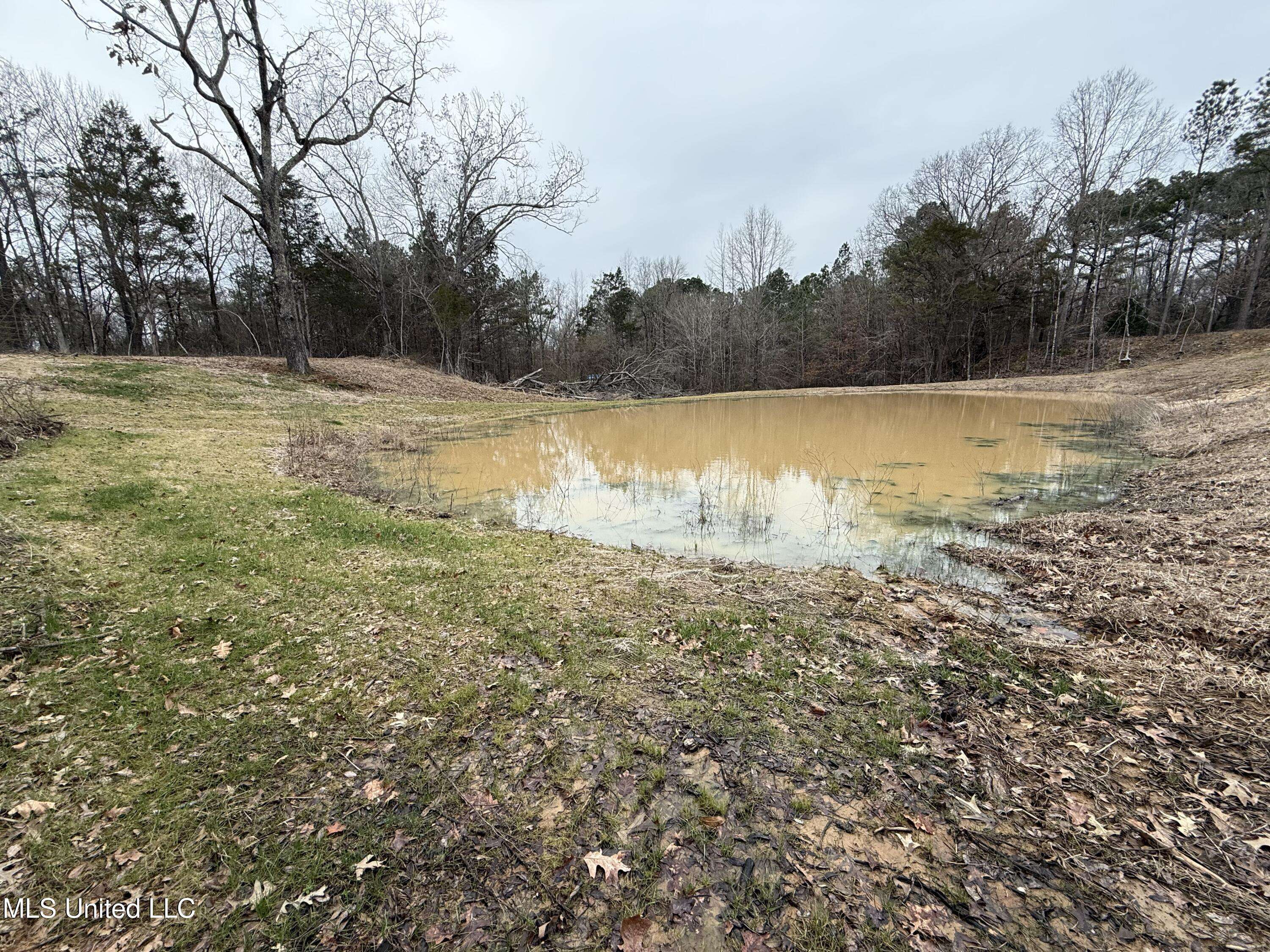 Hernando, MS 38632,10756 Honey Ridge Drive
