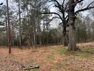 Morton, MS 39117,1 Sims Hill Road