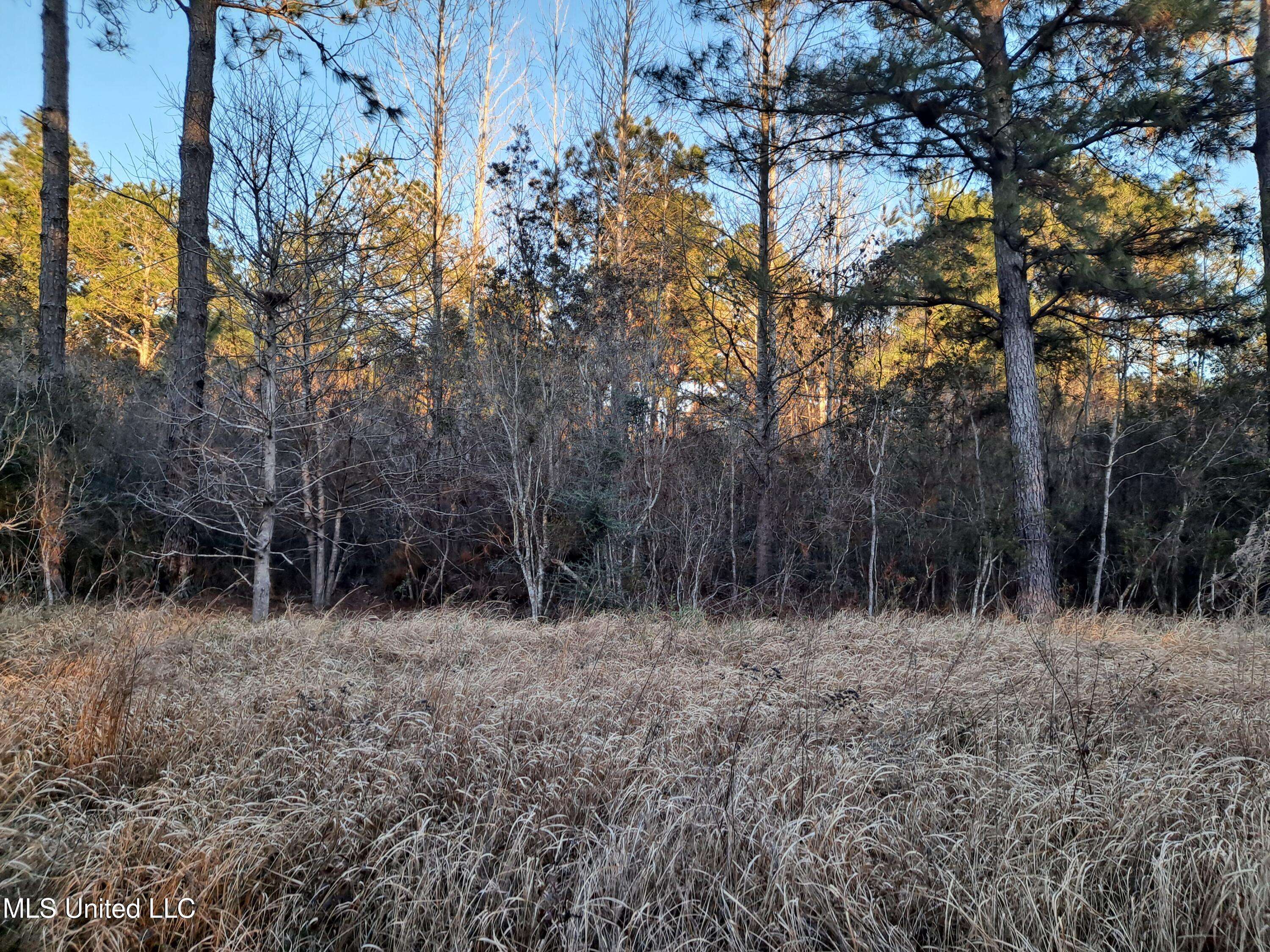 Lucedale, MS 39452,Tannertown Road