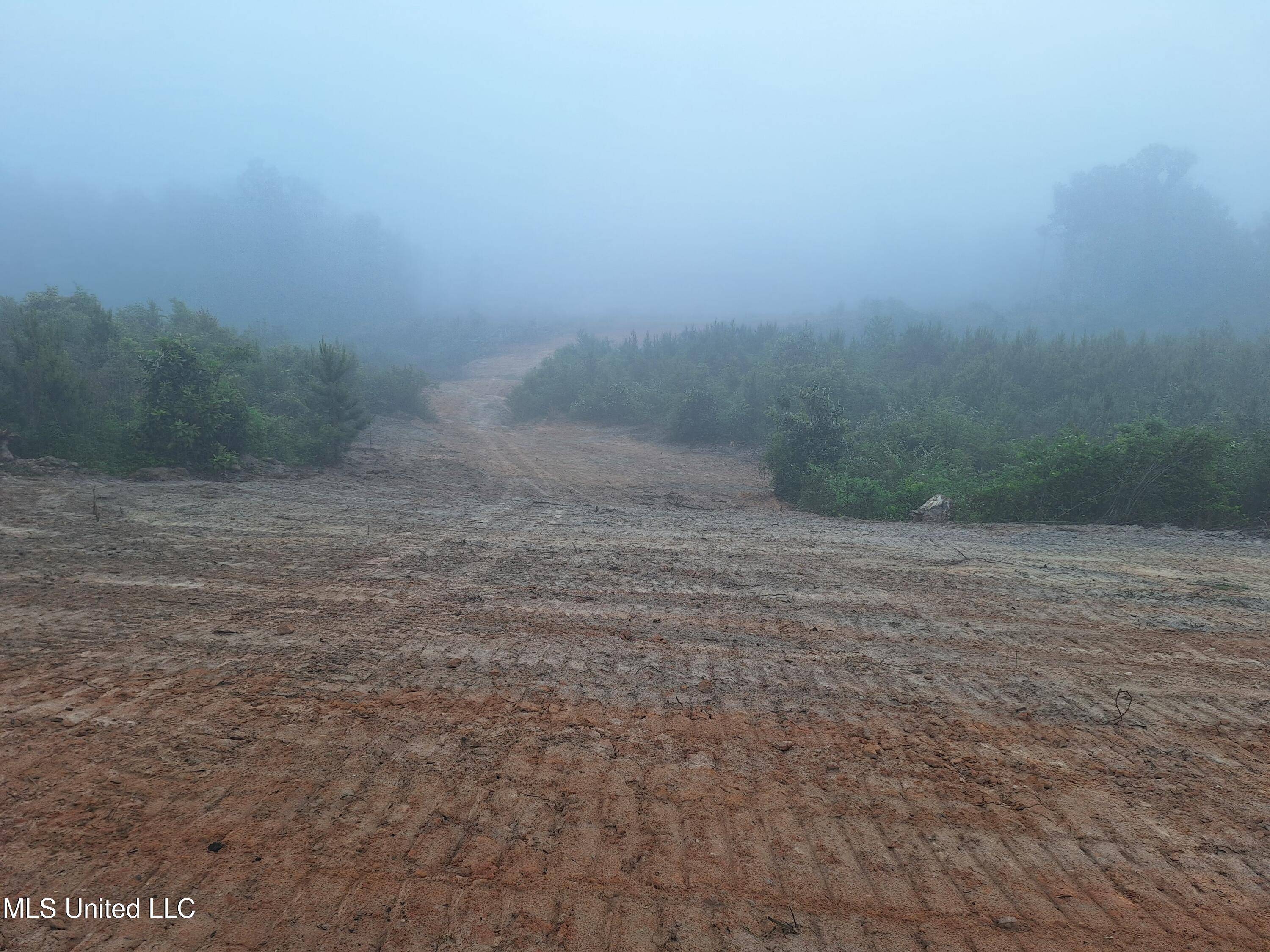 Mendenhall, MS 39114,0 Layton Jones Rd