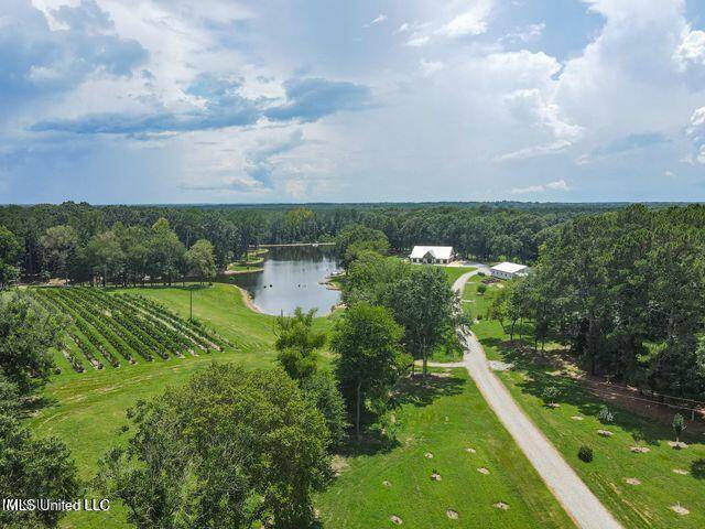 Pelahatchie, MS 39145,1548 Ms-43