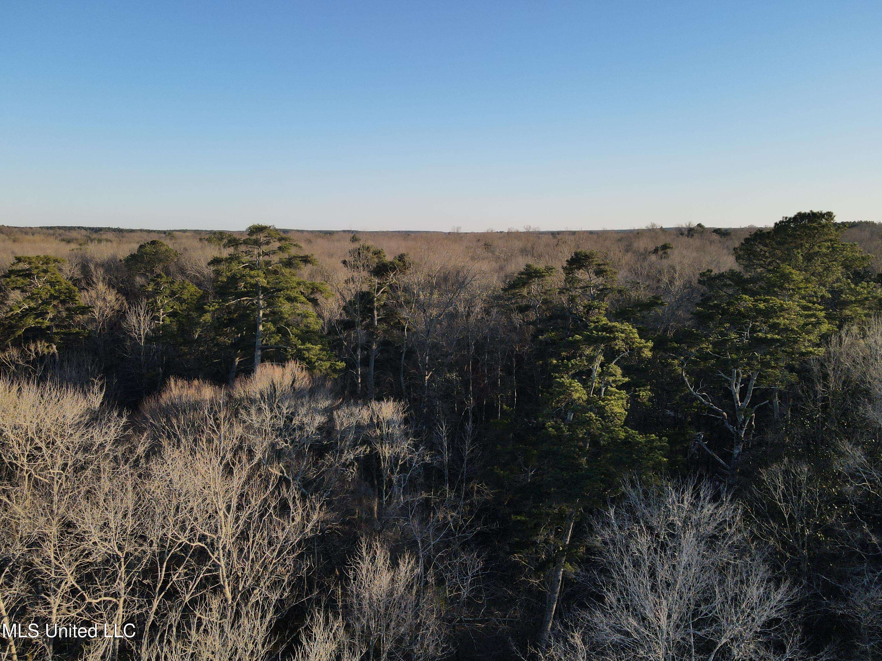 Mount Olive, MS 39119,63 Clem Road