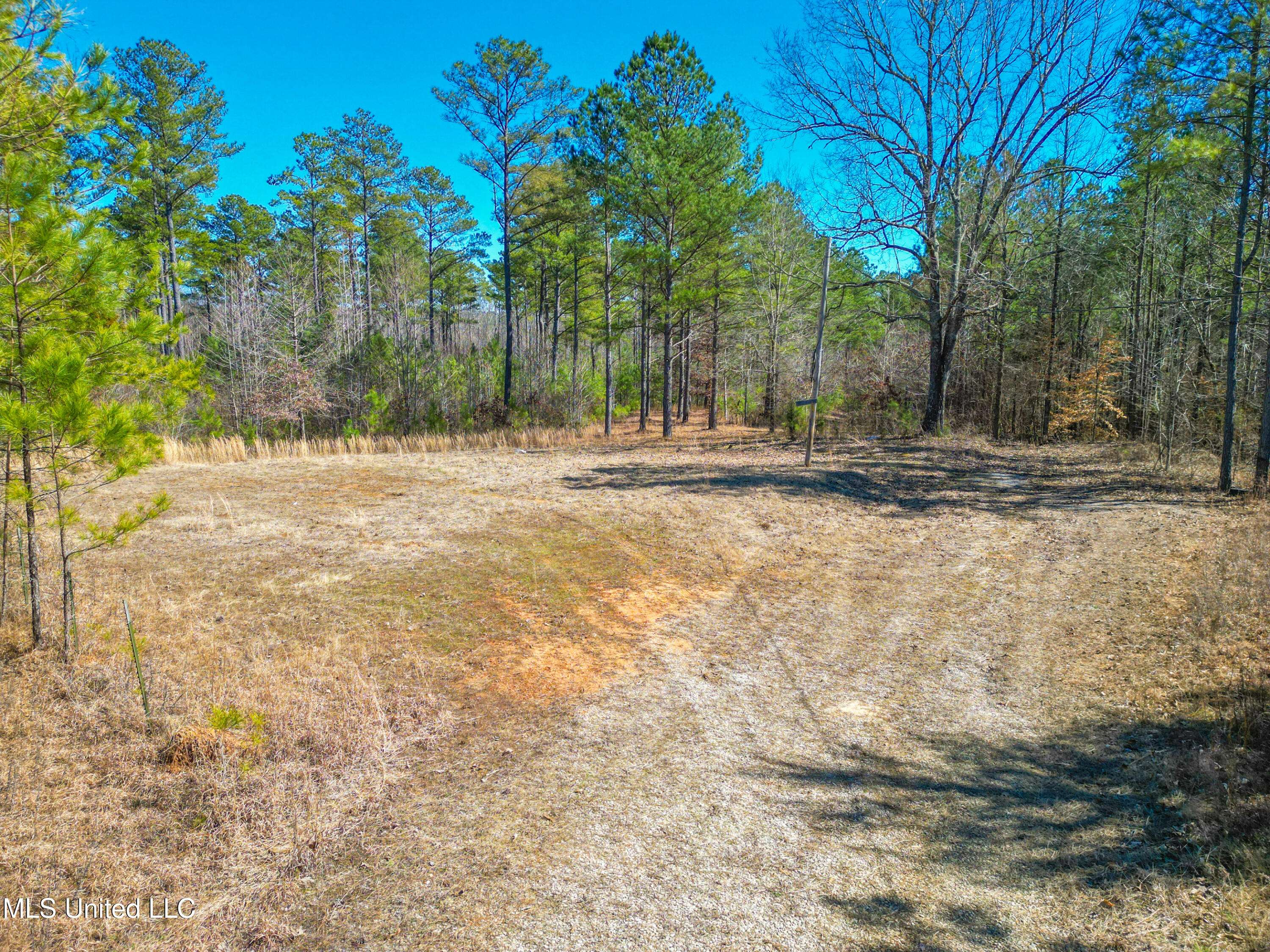 Ashland, MS 38603,1101 County Road 437
