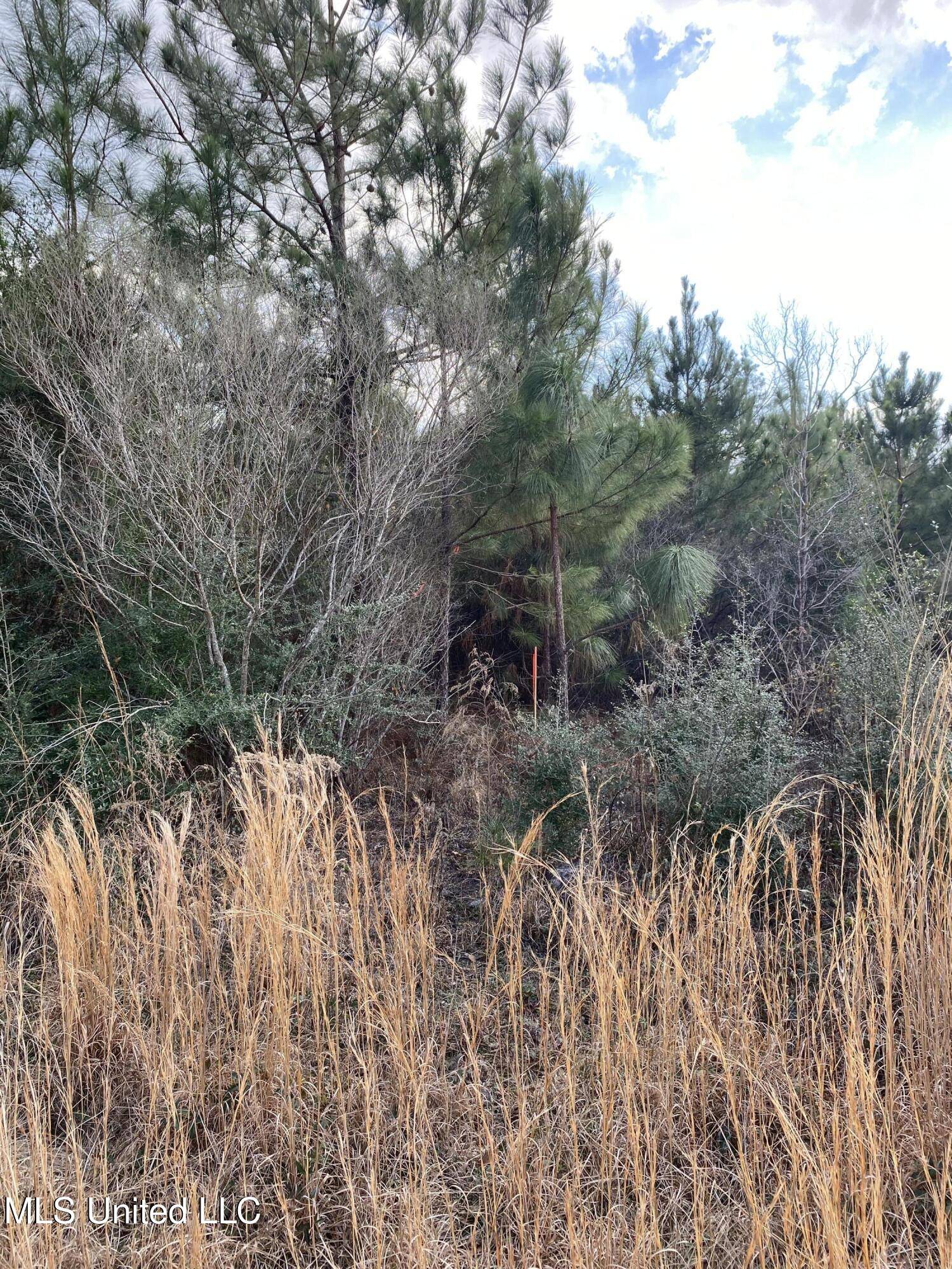 Richton, MS 39476,12 Willie Mae Pitts Road