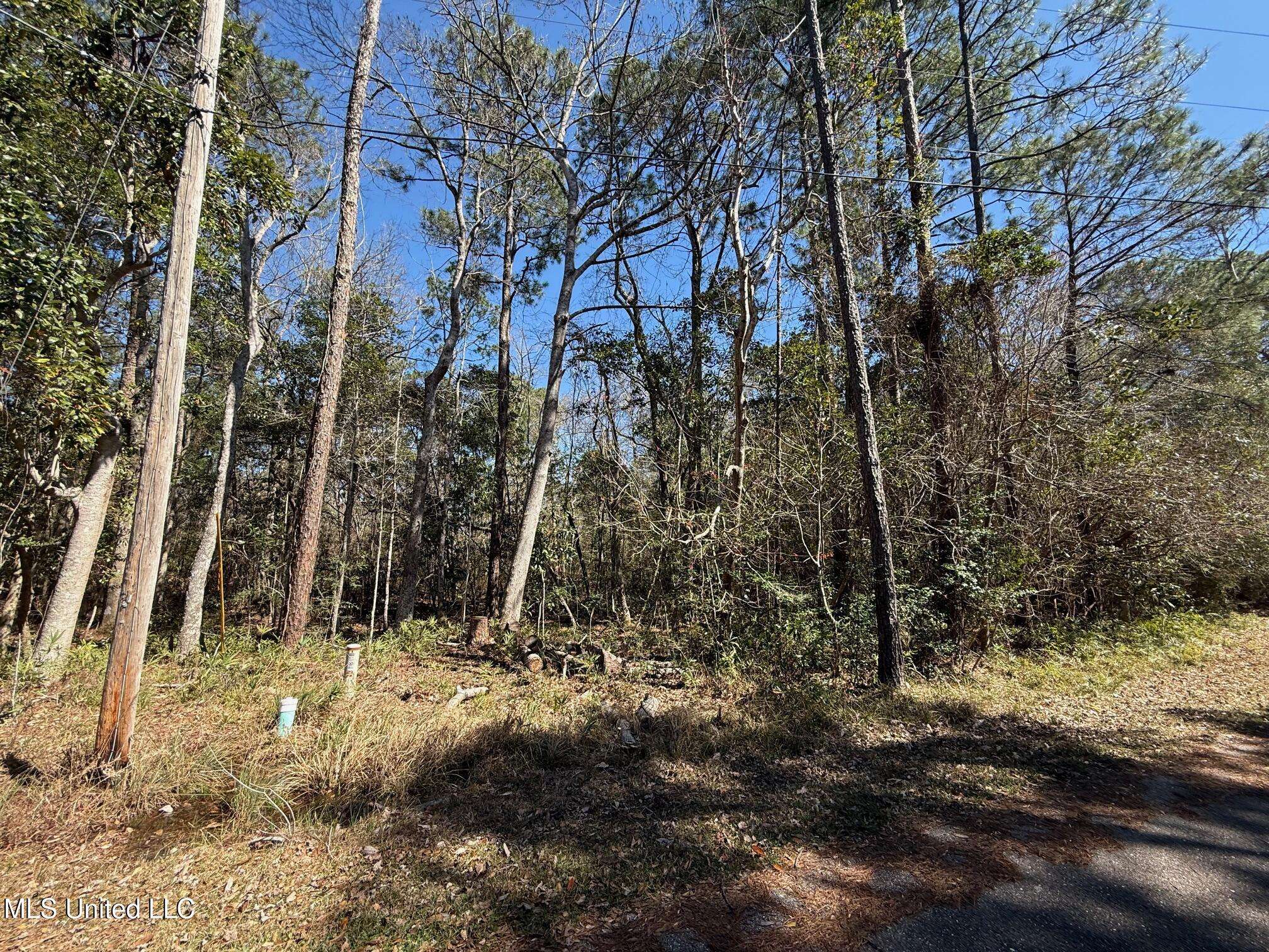Diamondhead, MS 39525,7312 Anela Place