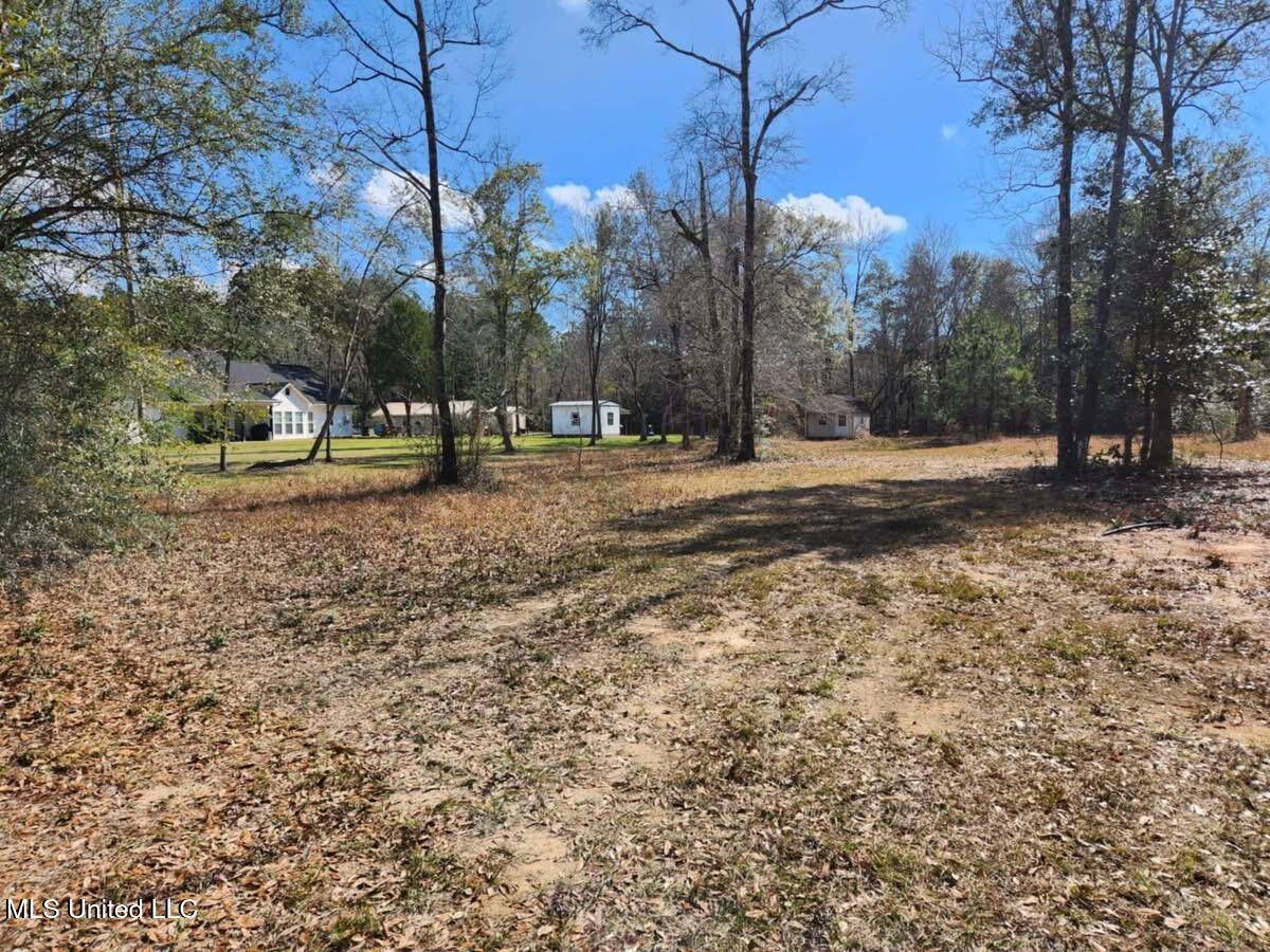 Vancleave, MS 39565,Jim Ramsey Road