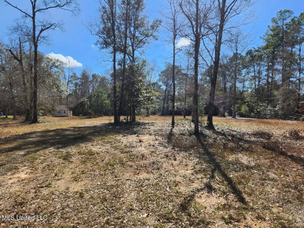 Vancleave, MS 39565,Jim Ramsey Road