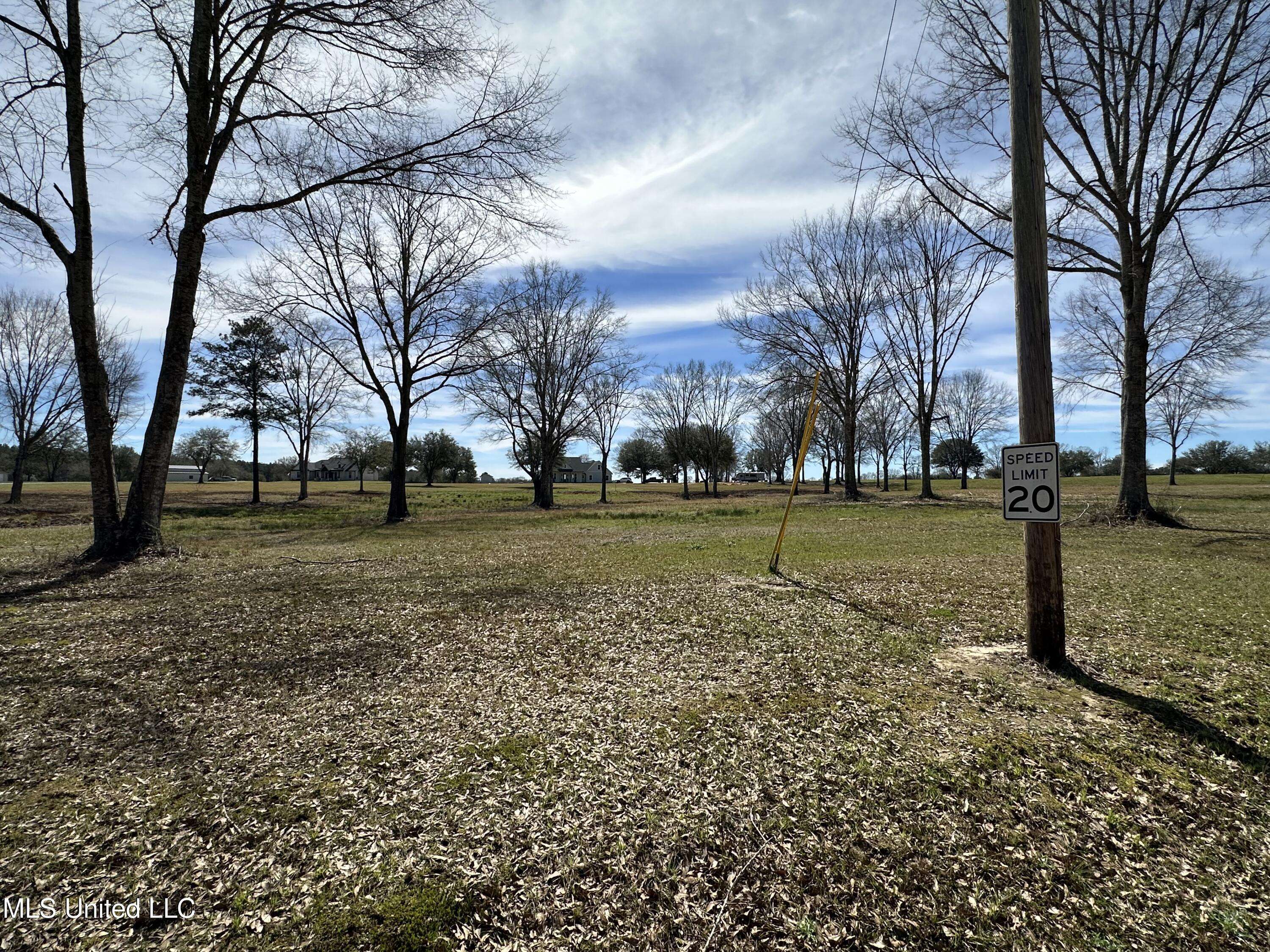 Poplarville, MS 39470,N New Arbor Lot 18