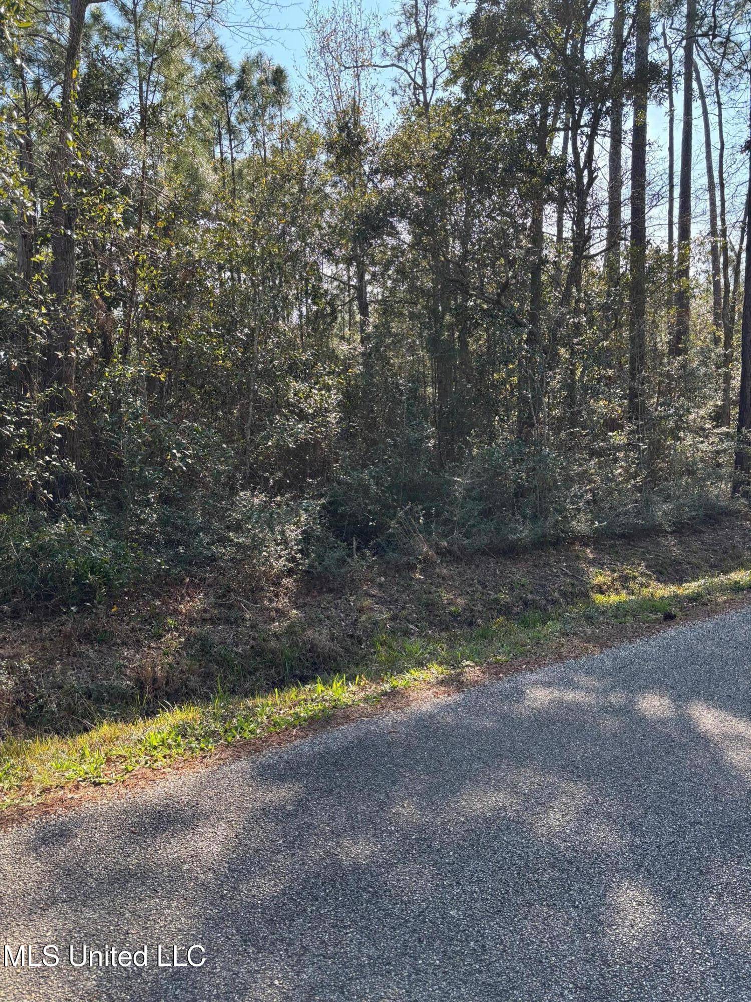 Pass Christian, MS 39571,Audubon Lane