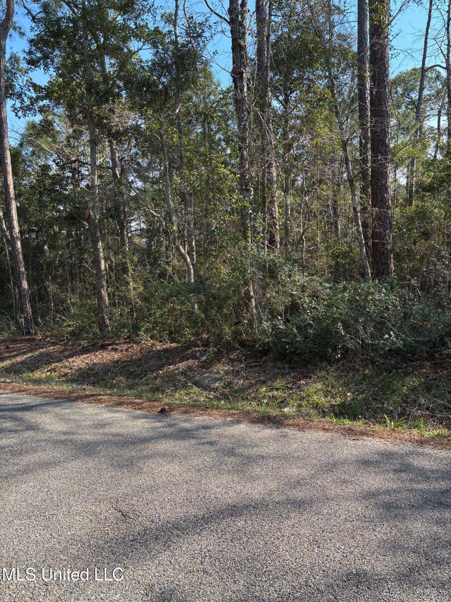 Pass Christian, MS 39571,Audubon Lane