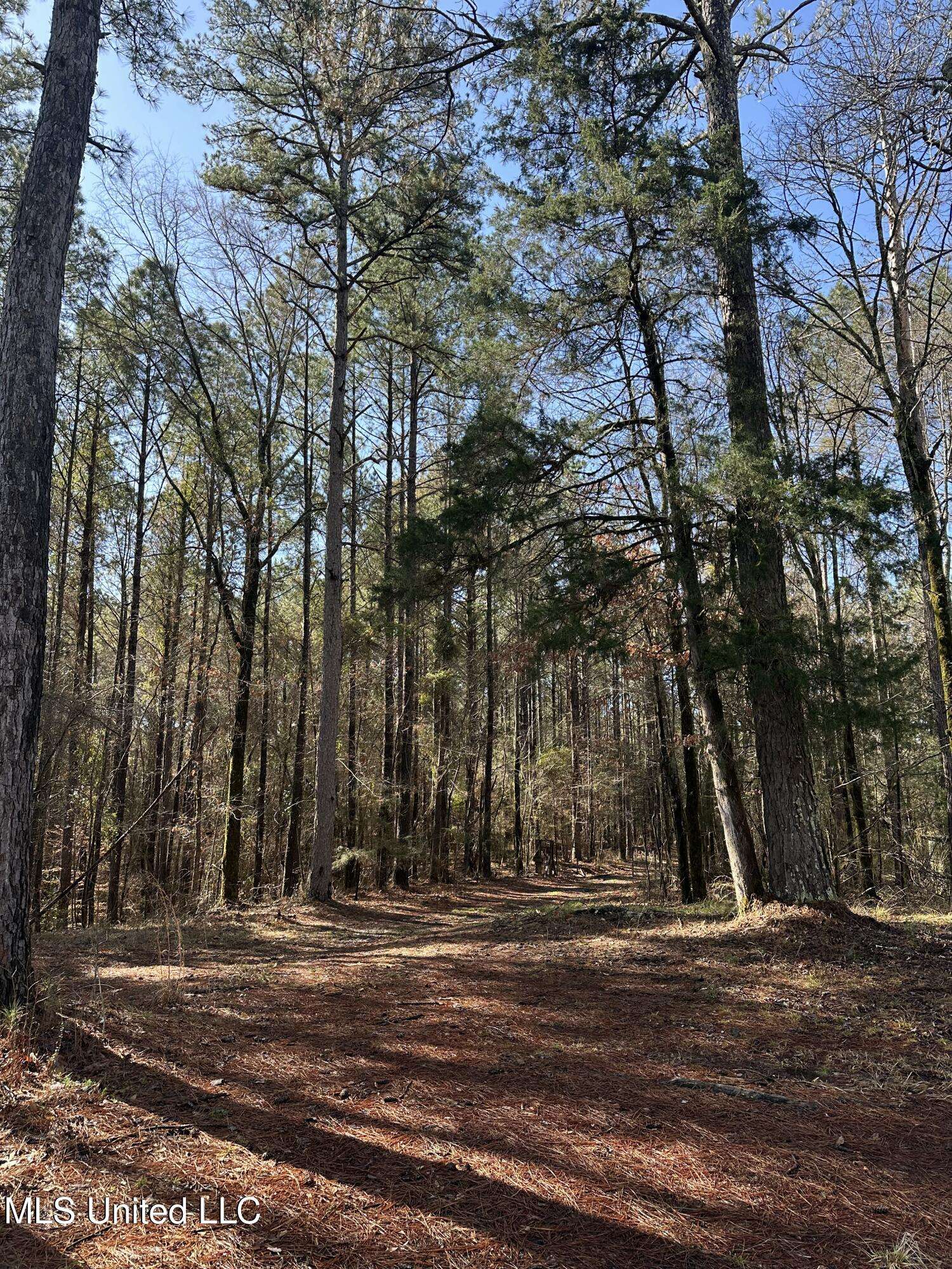 Camden, MS 39045,344 Hines Road