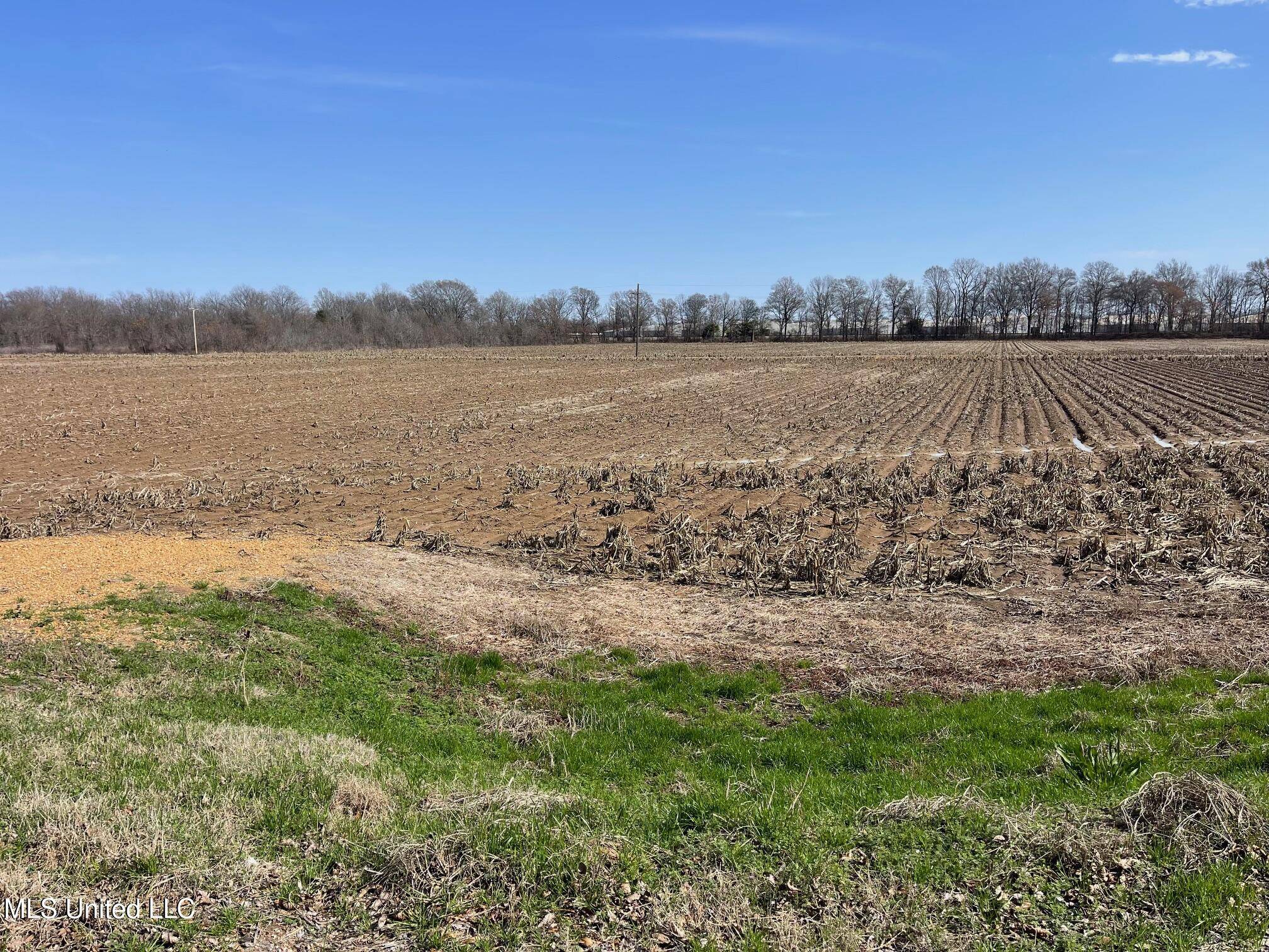 Sidon, MS 38954,County Rd 540