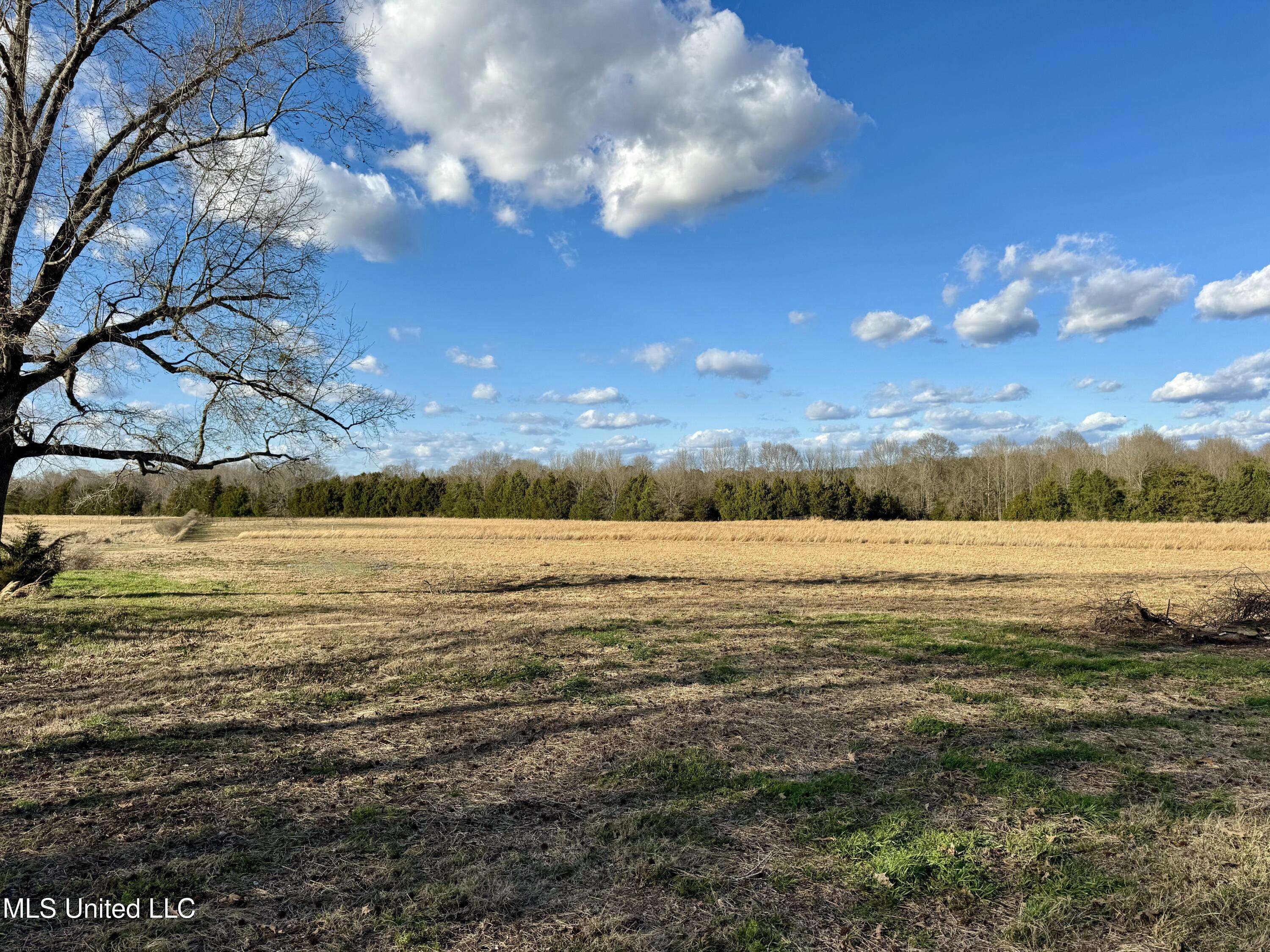 Flora, MS 39071,1 Russell Road