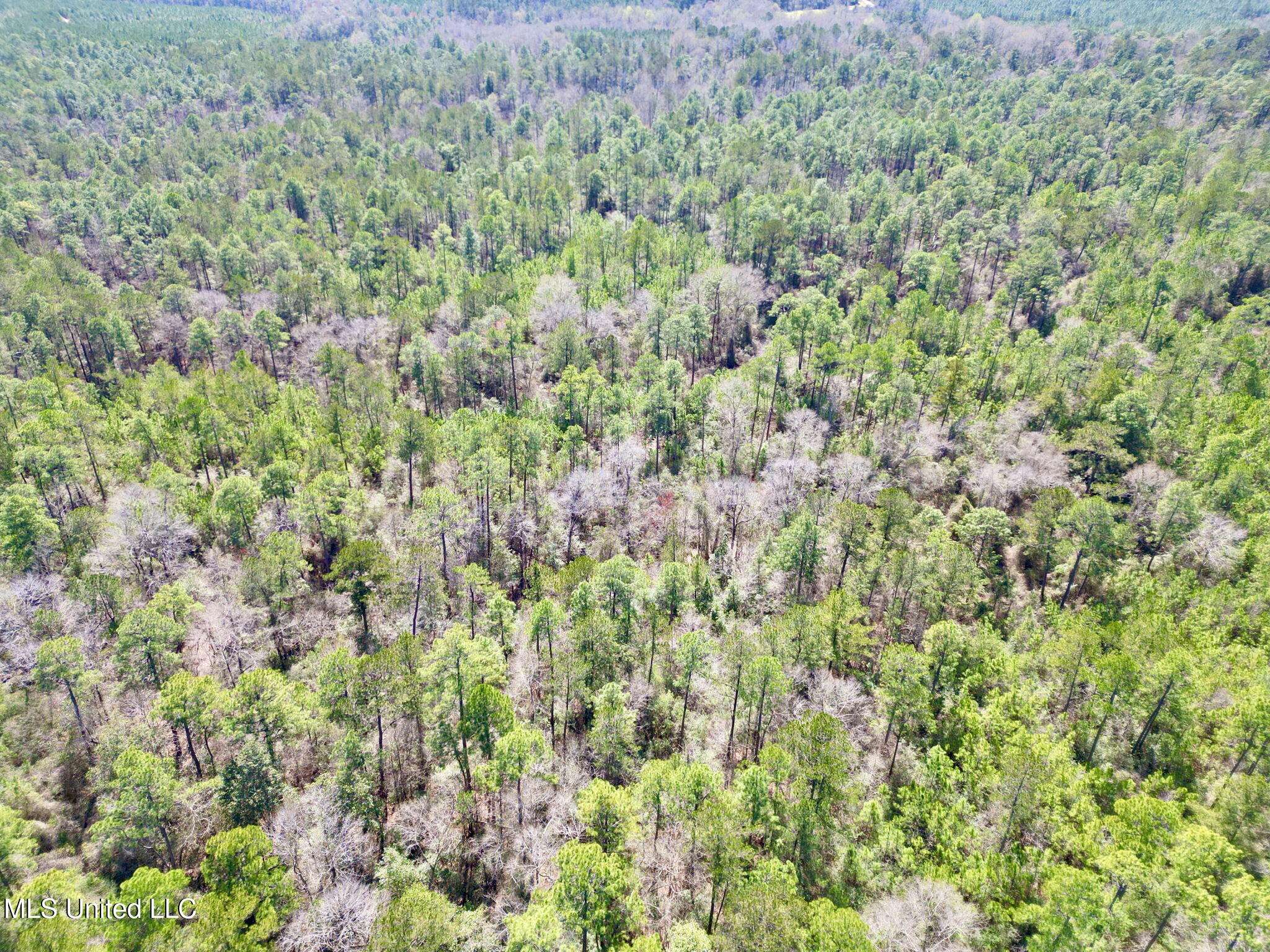 Poplarville, MS 39470,2 Cowart Holiday Road