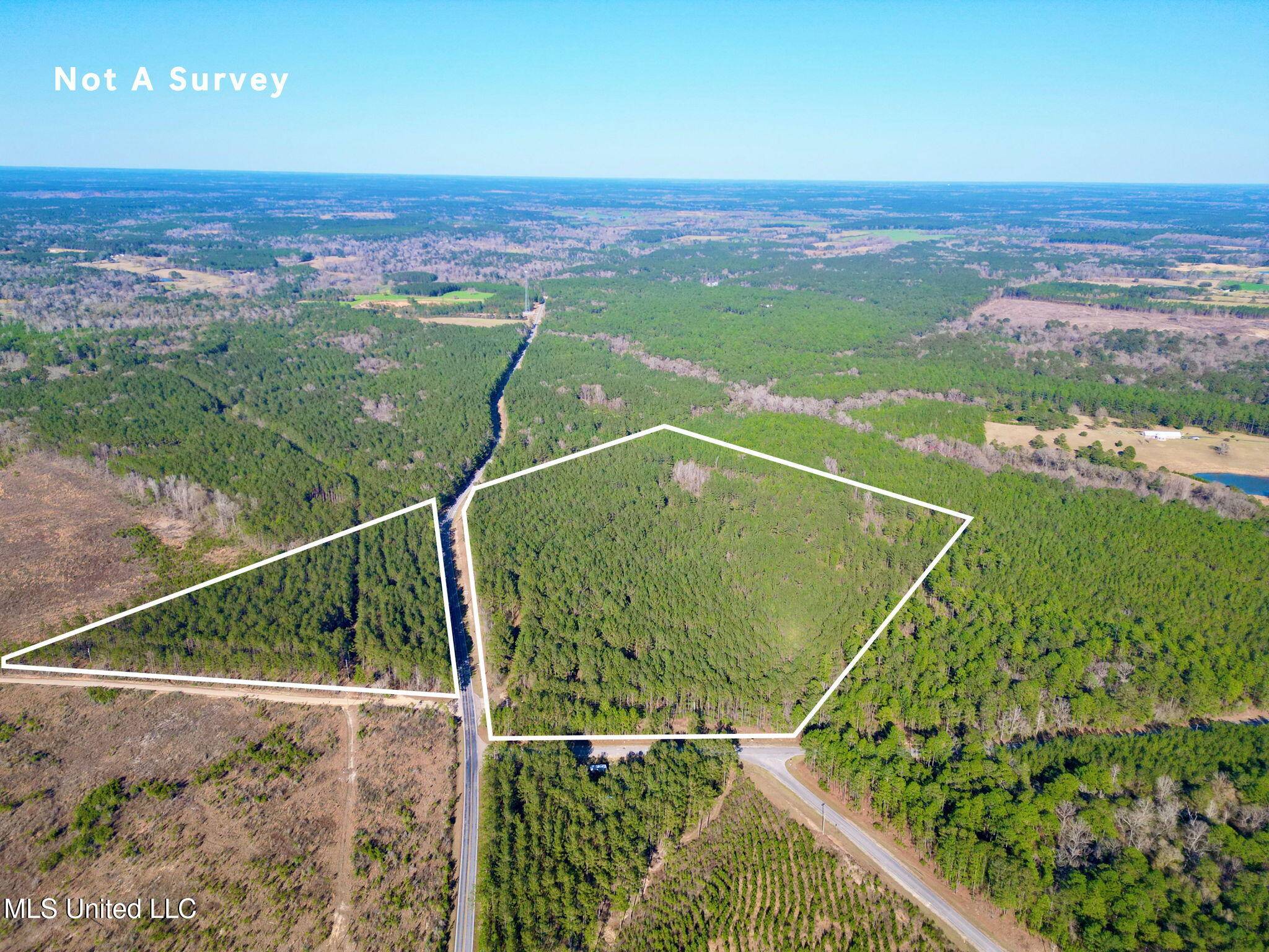 Poplarville, MS 39470,Gobbler Head Road