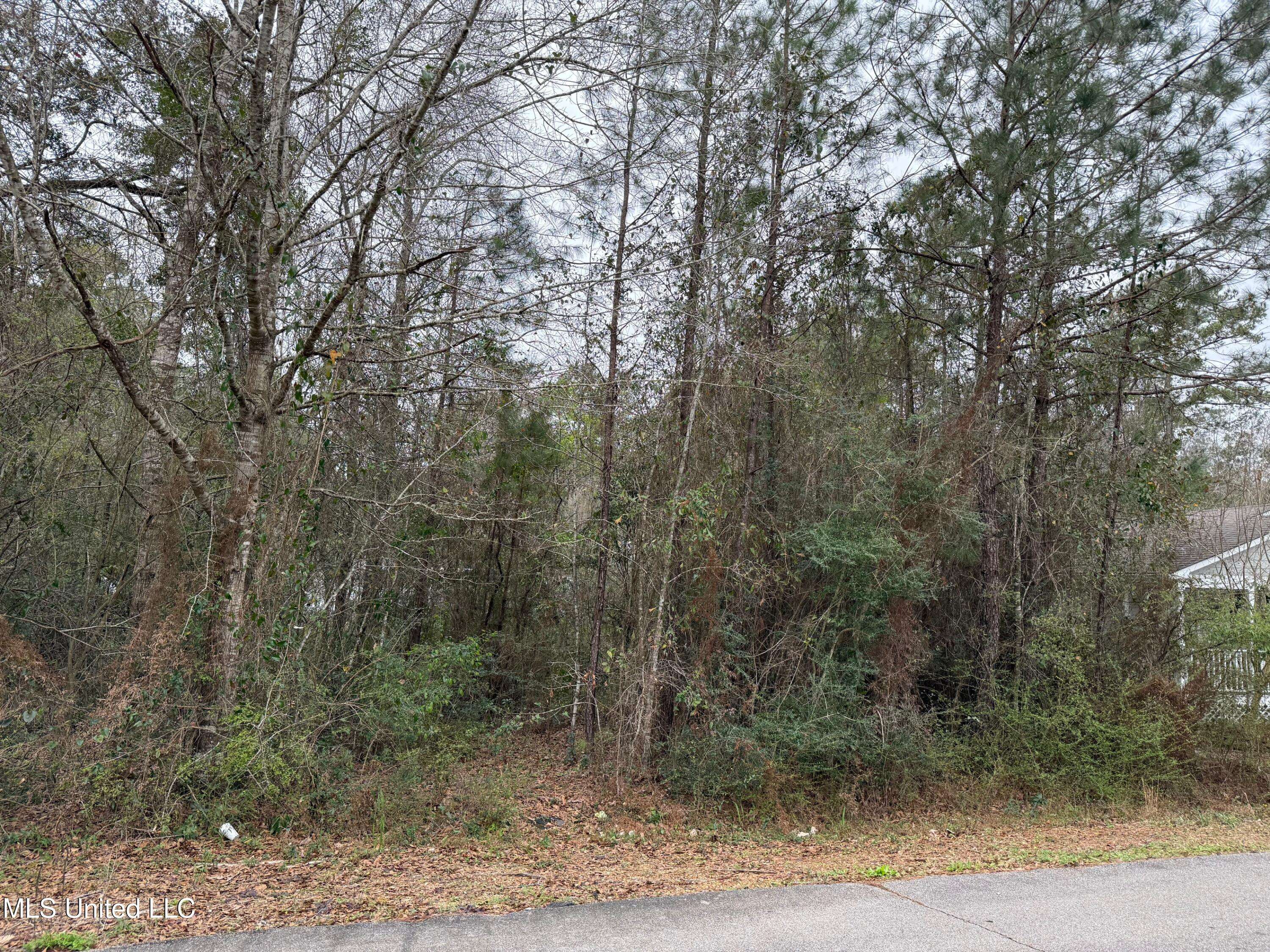 Diamondhead, MS 39525,10614 Limu Way