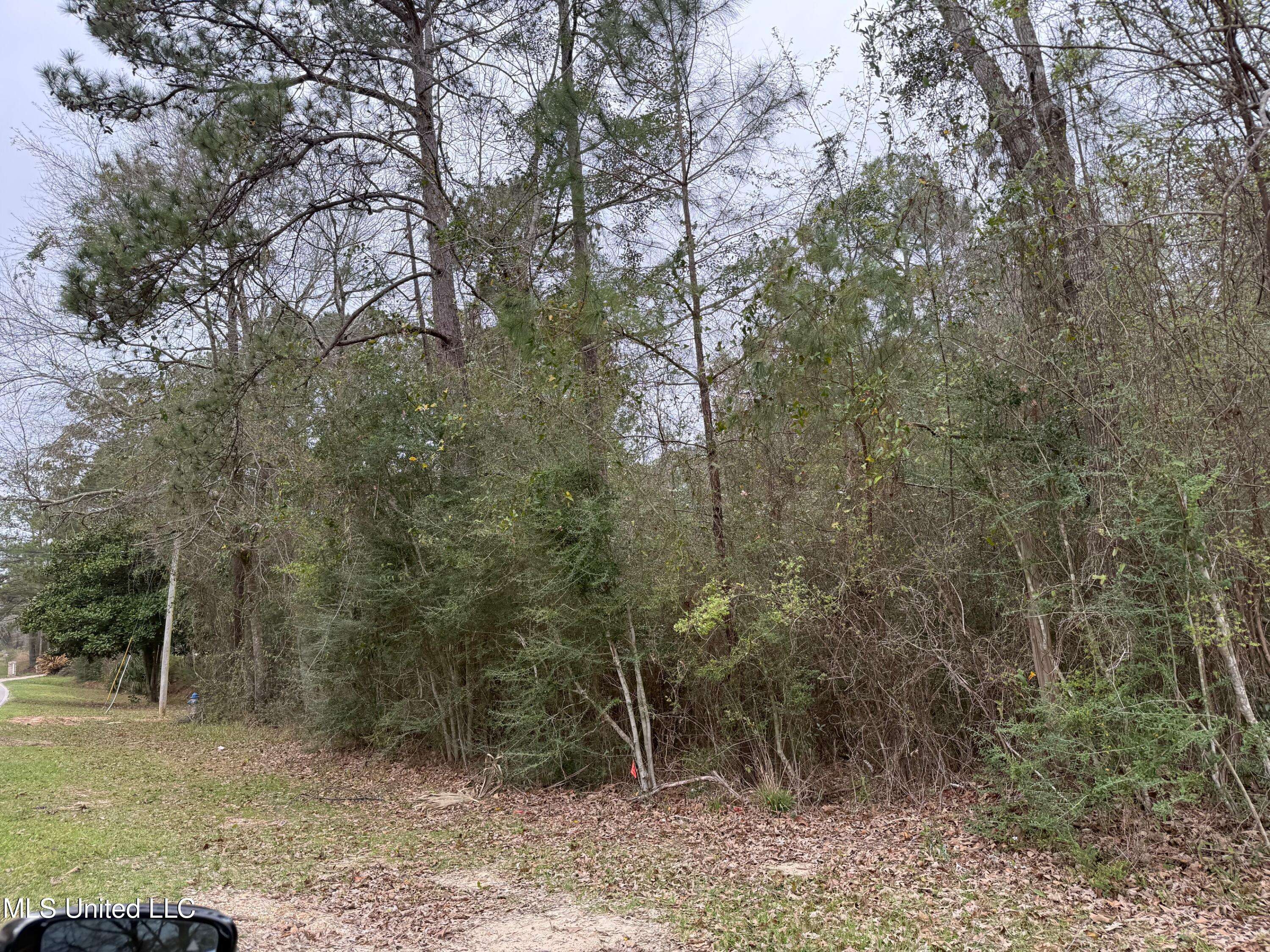 Diamondhead, MS 39525,97157 Kapalama Drive