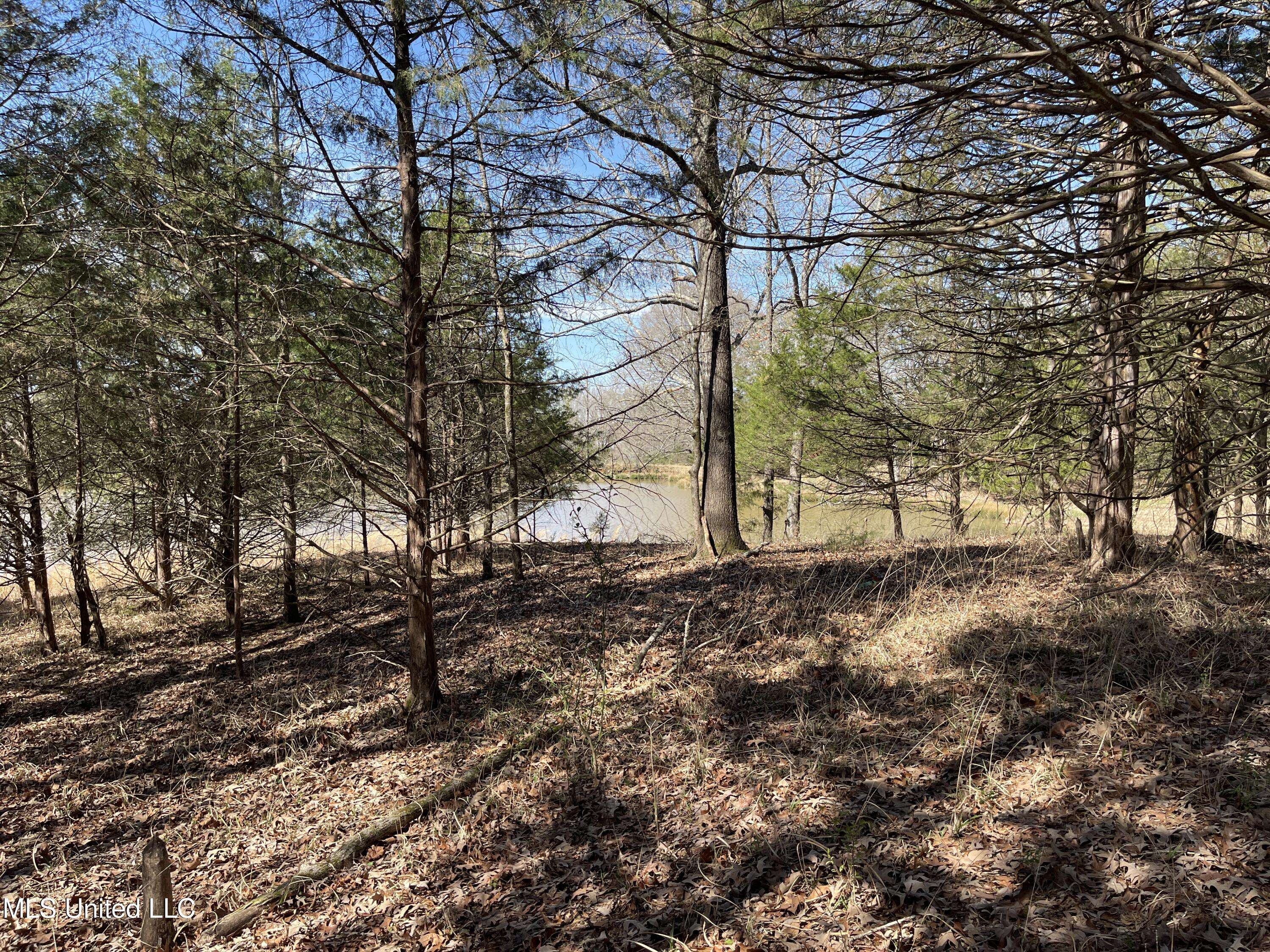 Coldwater, MS 38618,115 Cherrydale Drive