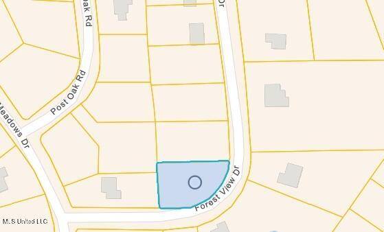 Carriere, MS 39426,17 Forrest View Drive