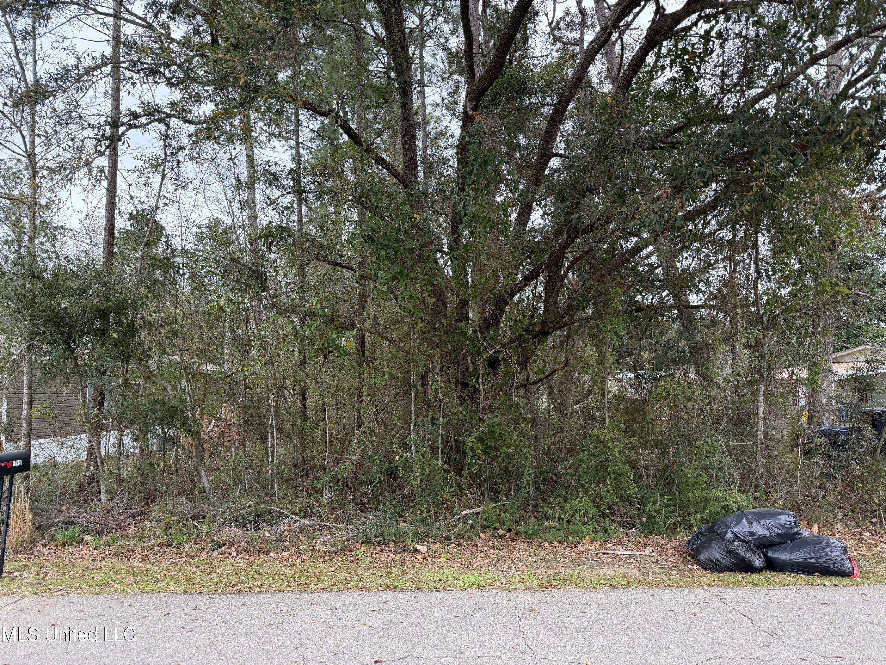 Diamondhead, MS 39525,10721 Lilinoe Way