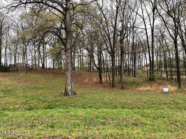 Southaven, MS 38672,16 Garden Road