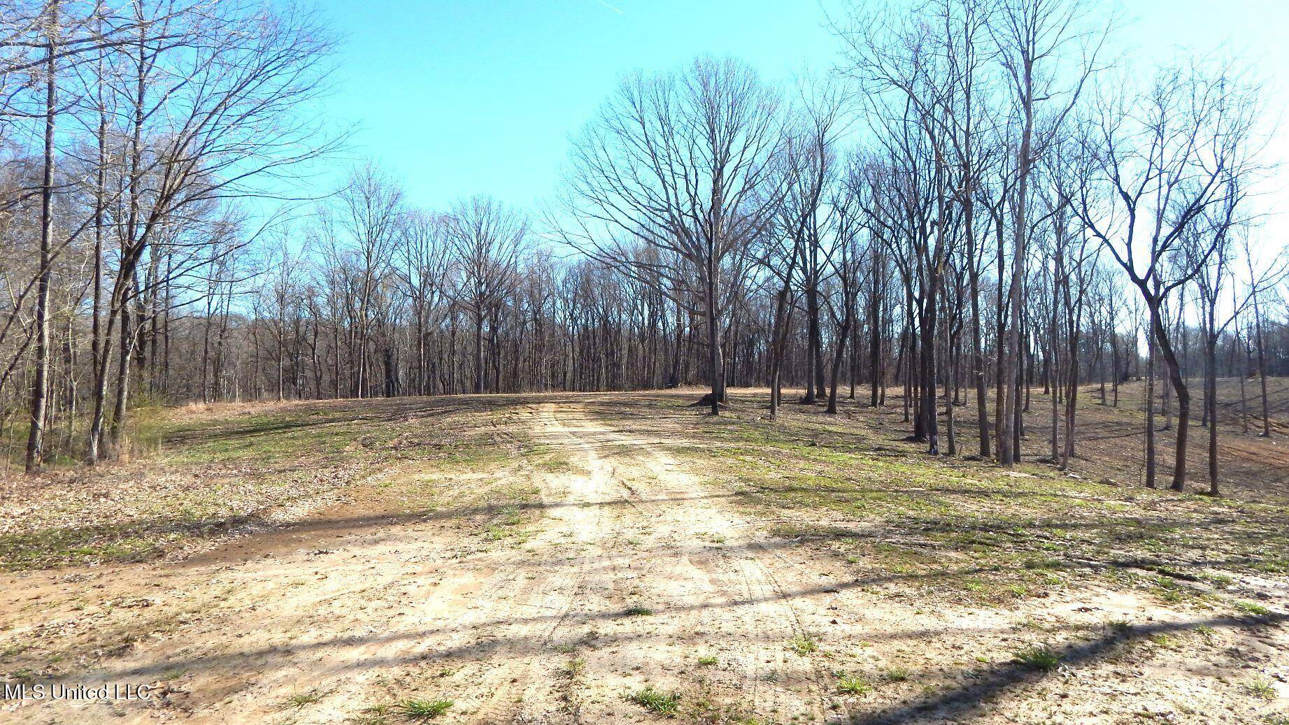 Hernando, MS 38632,4577 Bluff Road