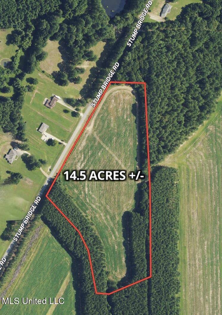 Canton, MS 39046,20 Stump Bridge Road