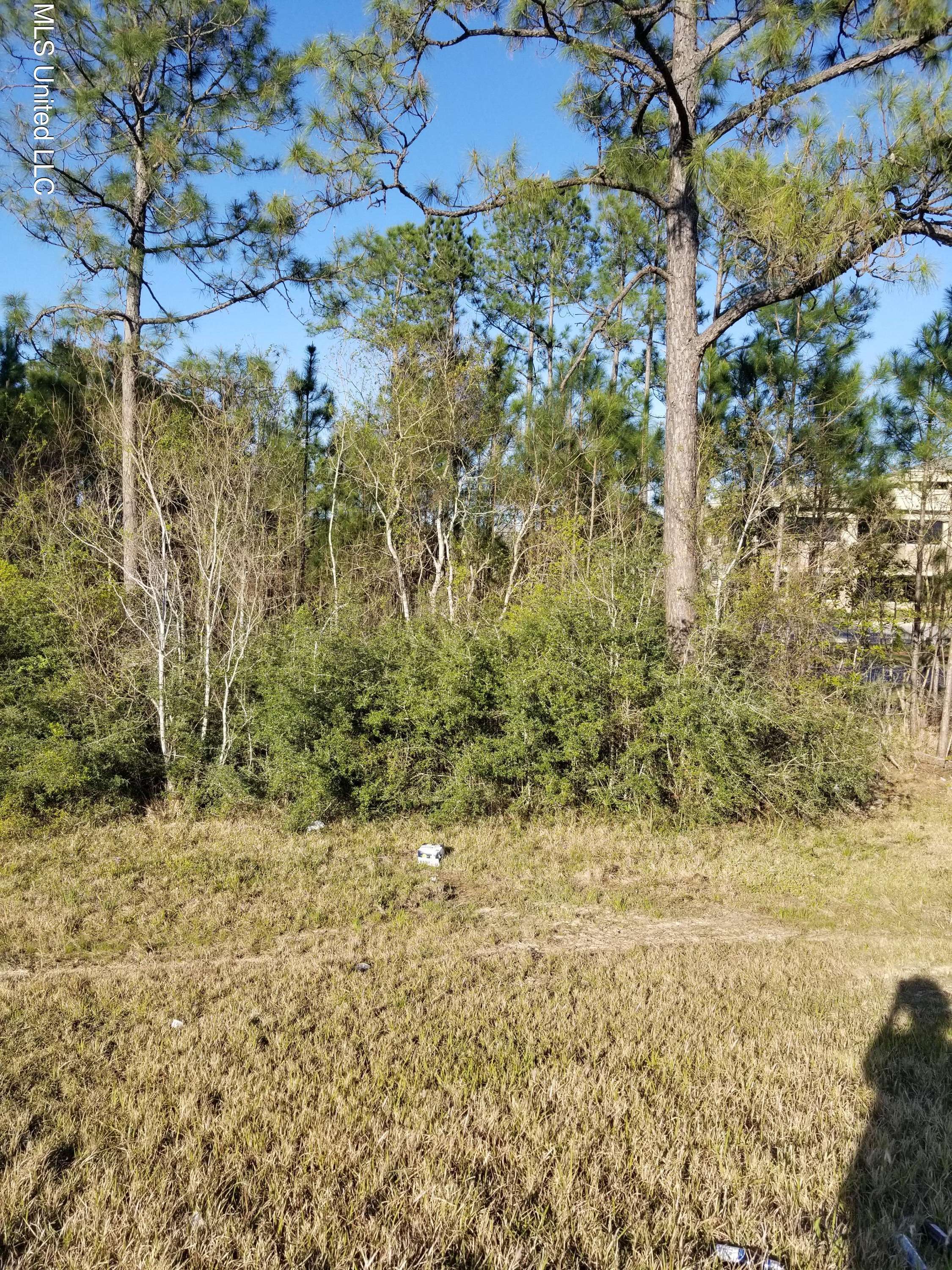 Vancleave, MS 39565,Lake Boulevard
