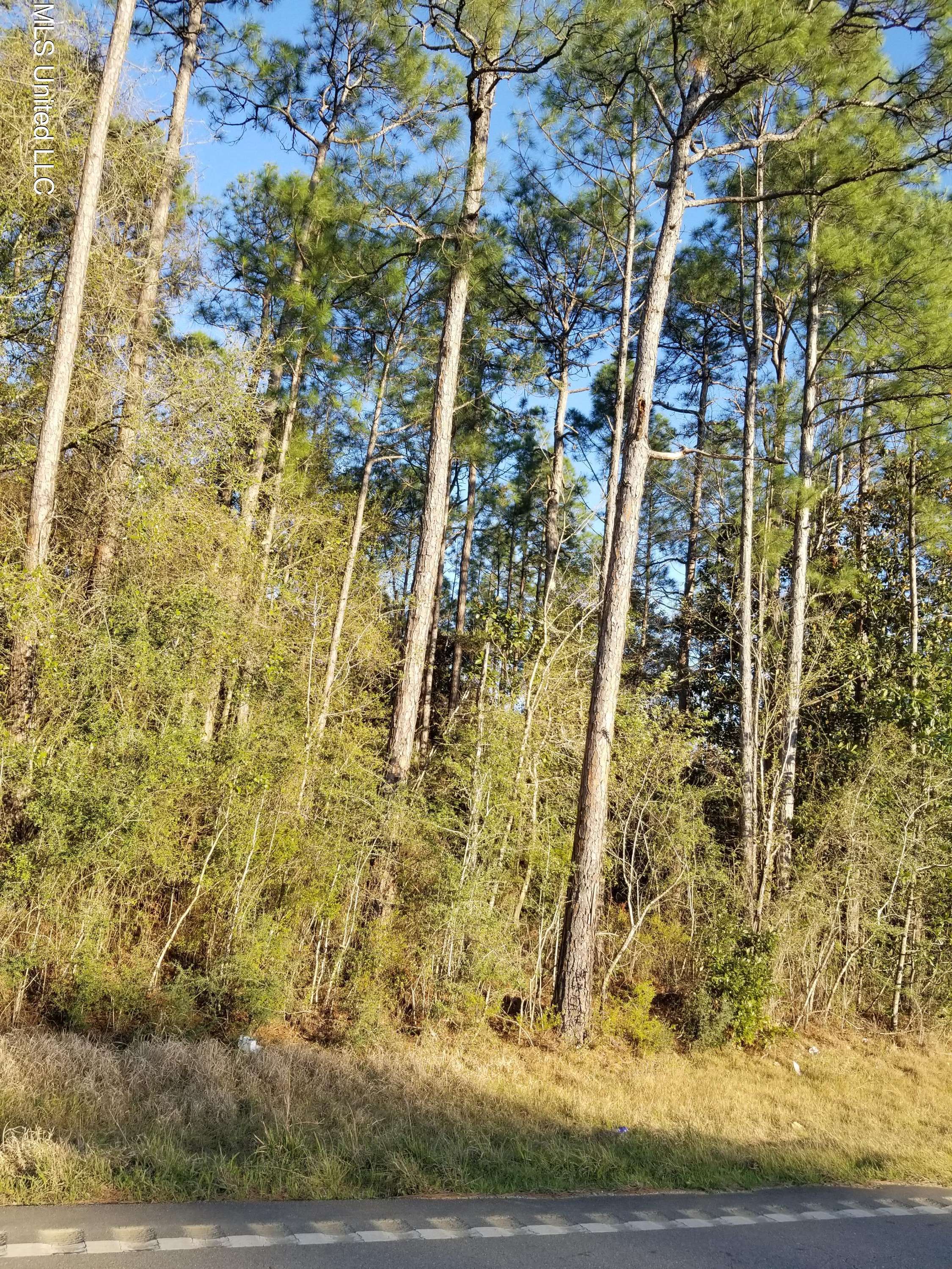 Vancleave, MS 39565,Maple Cove