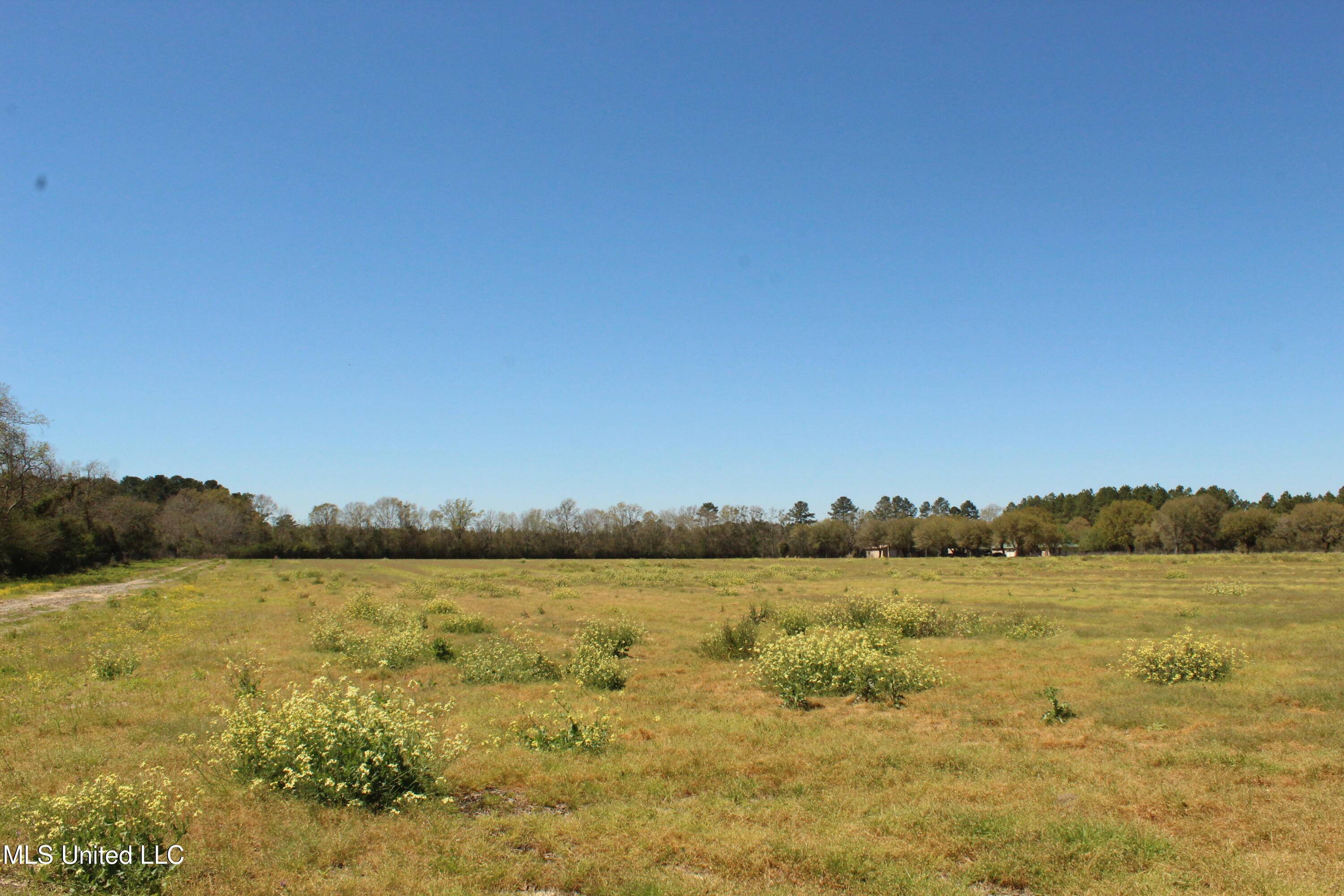 Moss Point, MS 39562,2 Ramie Farm Road