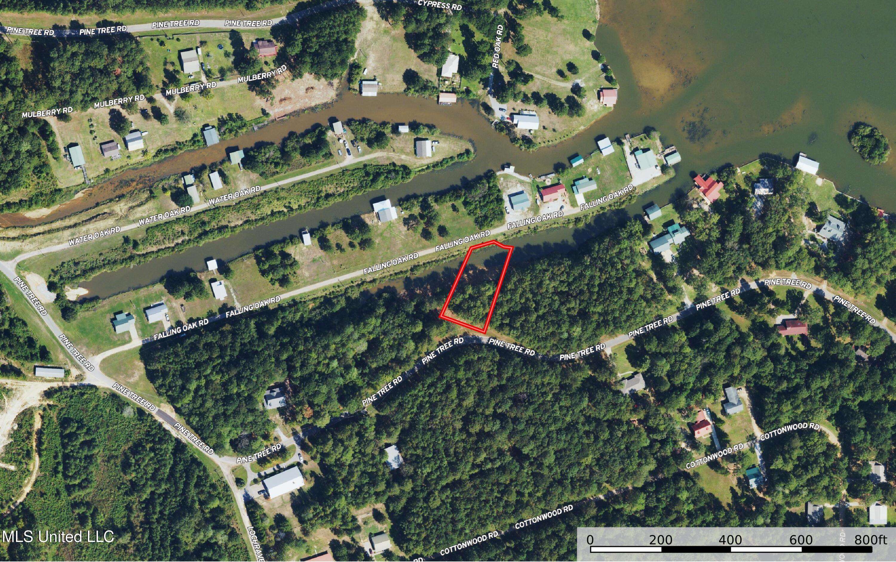Pachuta, MS 39347,Pine Tree Road
