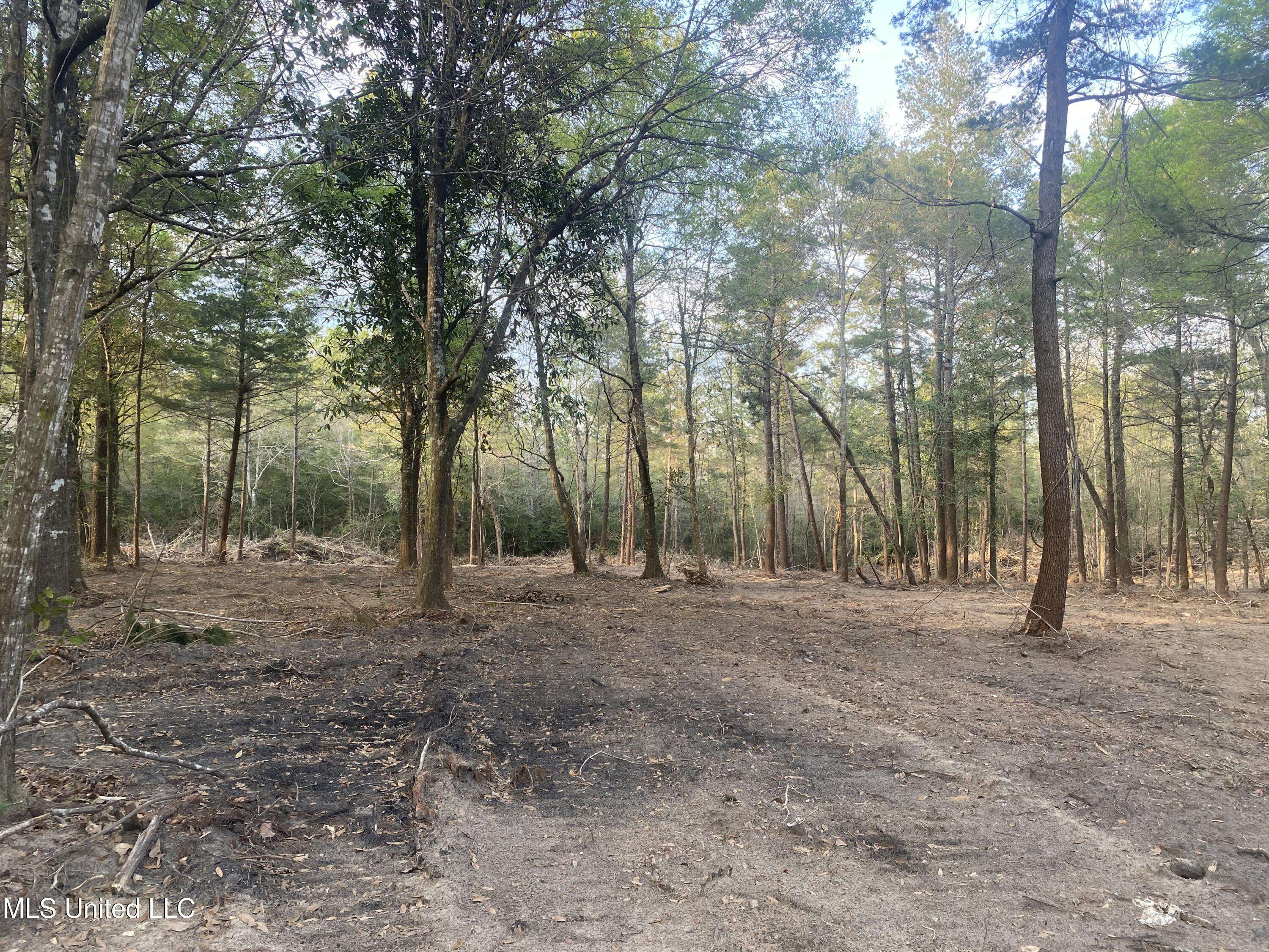 Perkinston, MS 39573,E Wire East Road