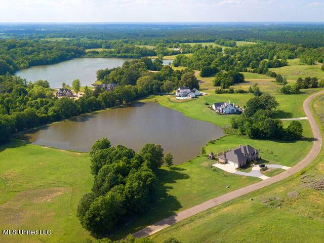 Flora, MS 39071,Chestnut Hill Road