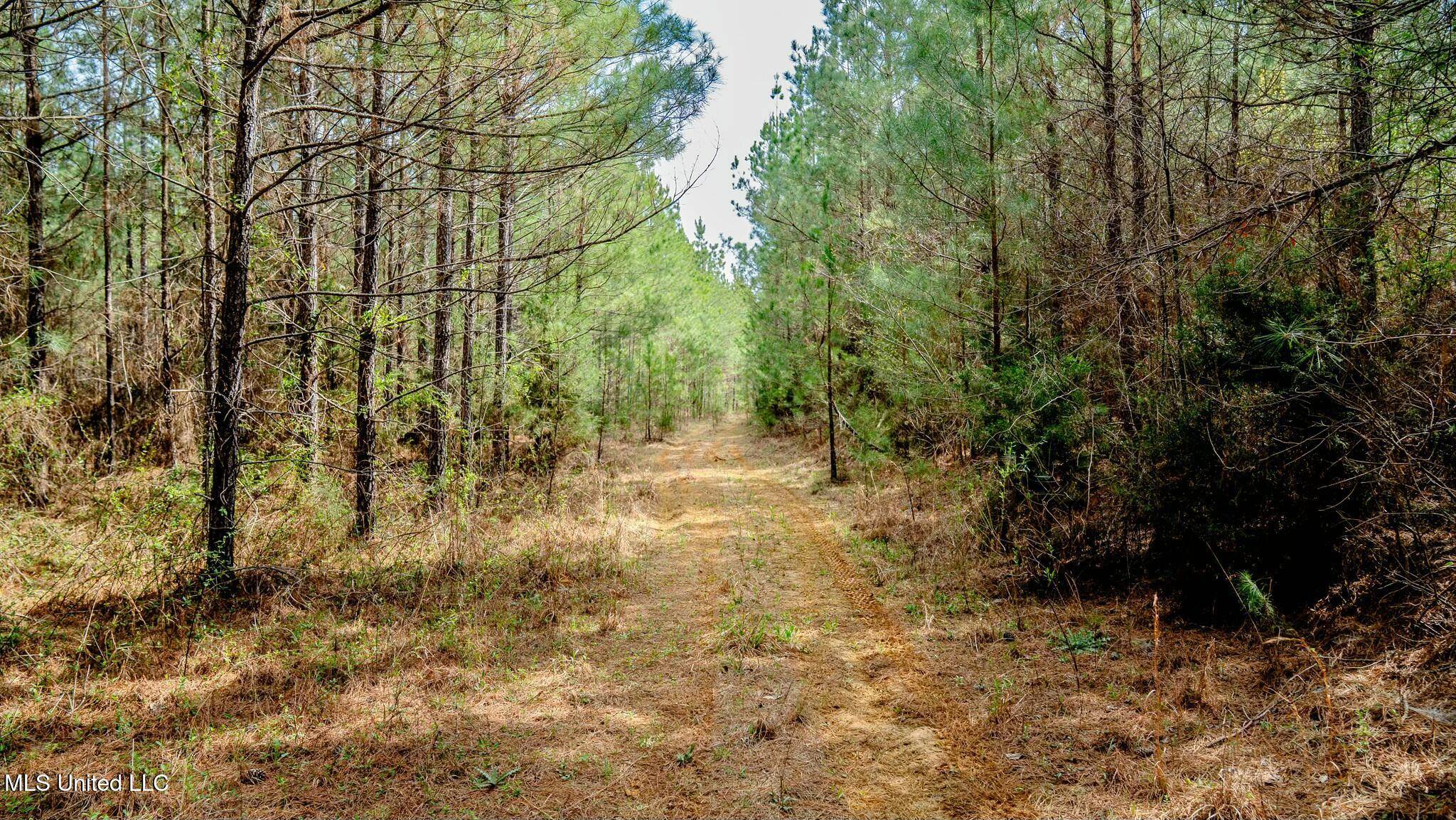 Noxapater, MS 39346,0 Elijah Graham Road