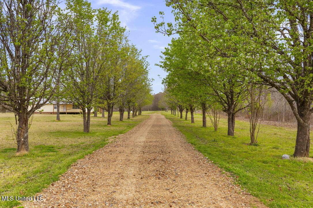 Bentonia, MS 39040,1144 Little Big Mound Road