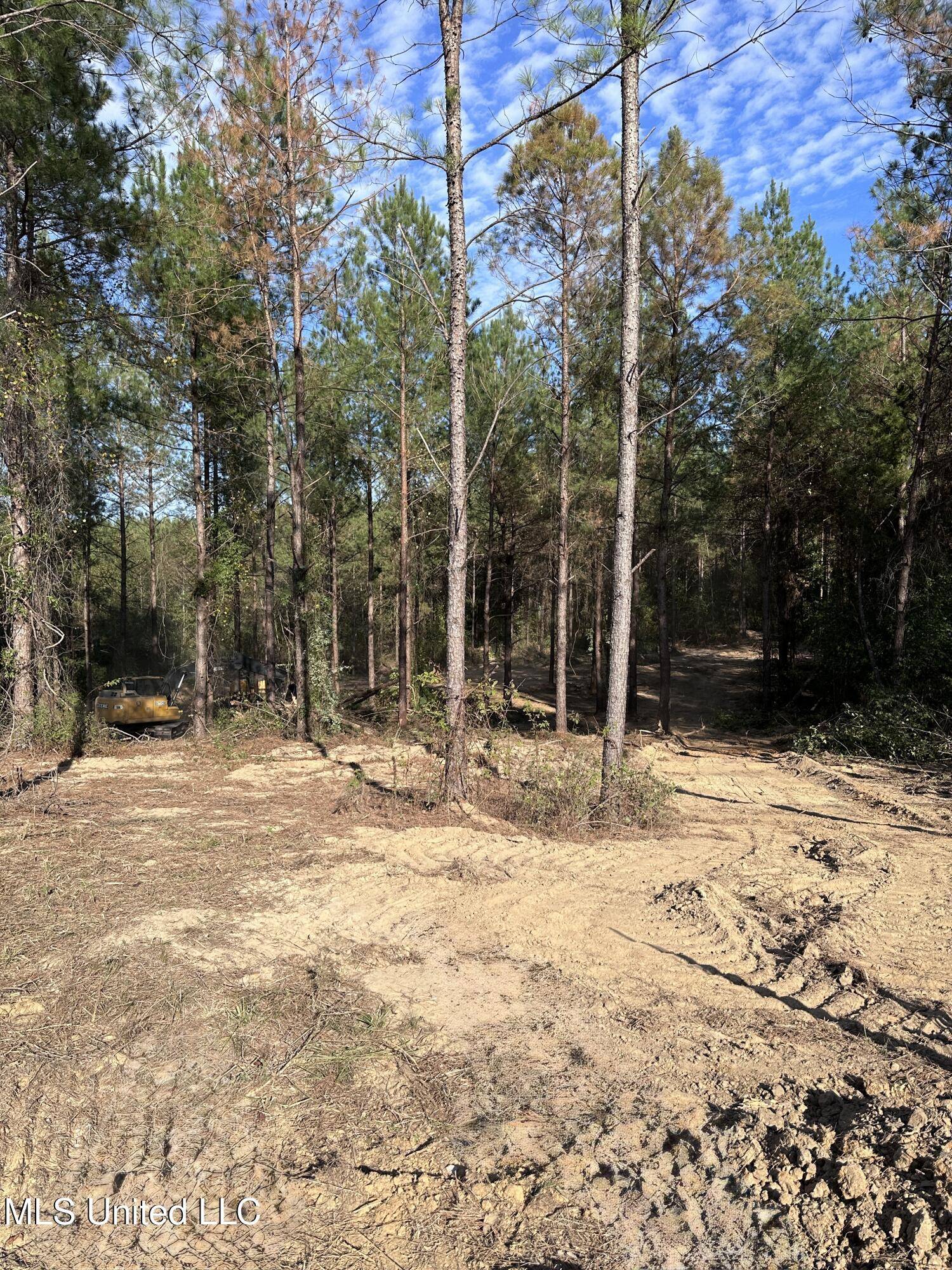 Mize, MS 39116,Brumley Lane