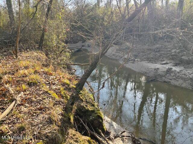 Brandon, MS 39042,235 Woodrow Martin Road
